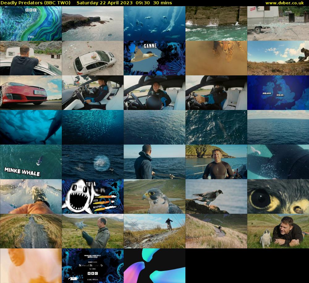 Deadly Predators (BBC TWO) Saturday 22 April 2023 09:30 - 10:00
