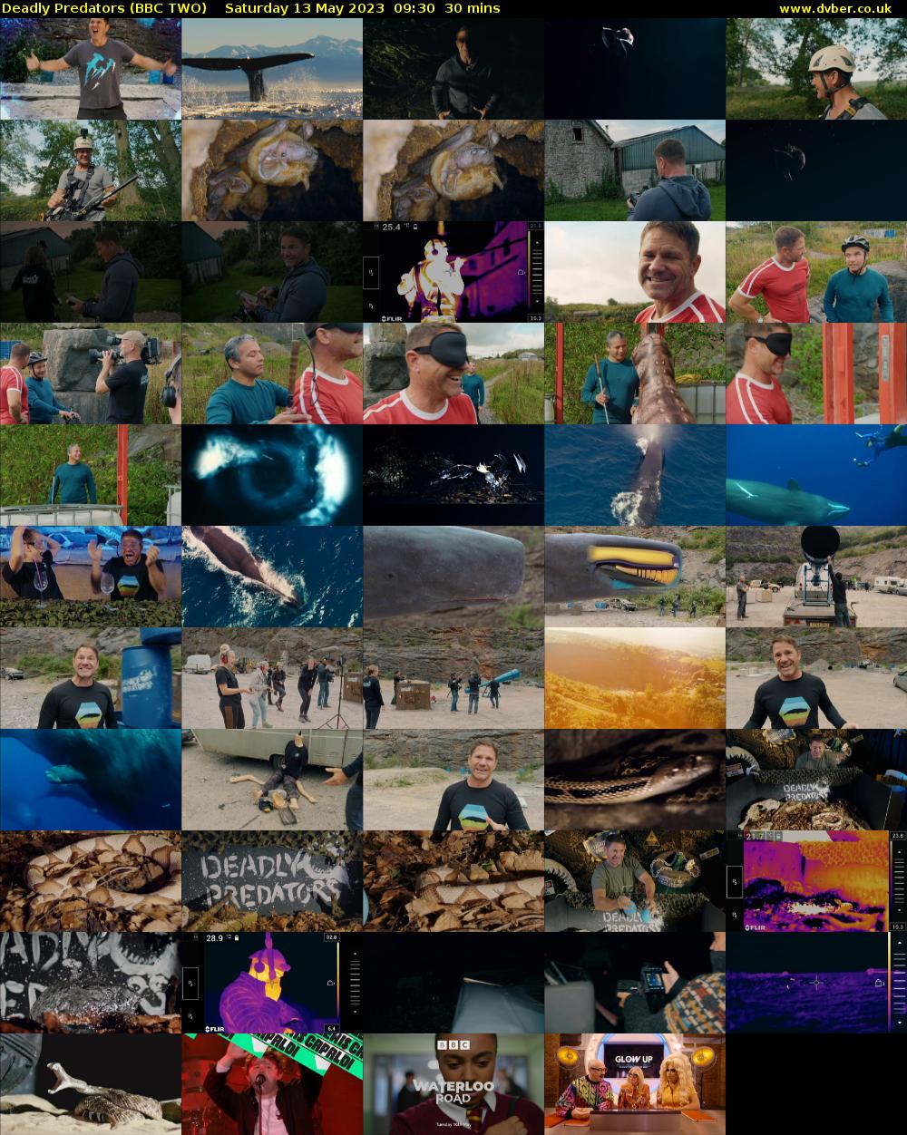 Deadly Predators (BBC TWO) Saturday 13 May 2023 09:30 - 10:00