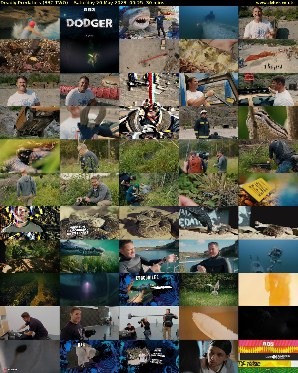 Deadly Predators (BBC TWO) Saturday 20 May 2023 09:25 - 09:55