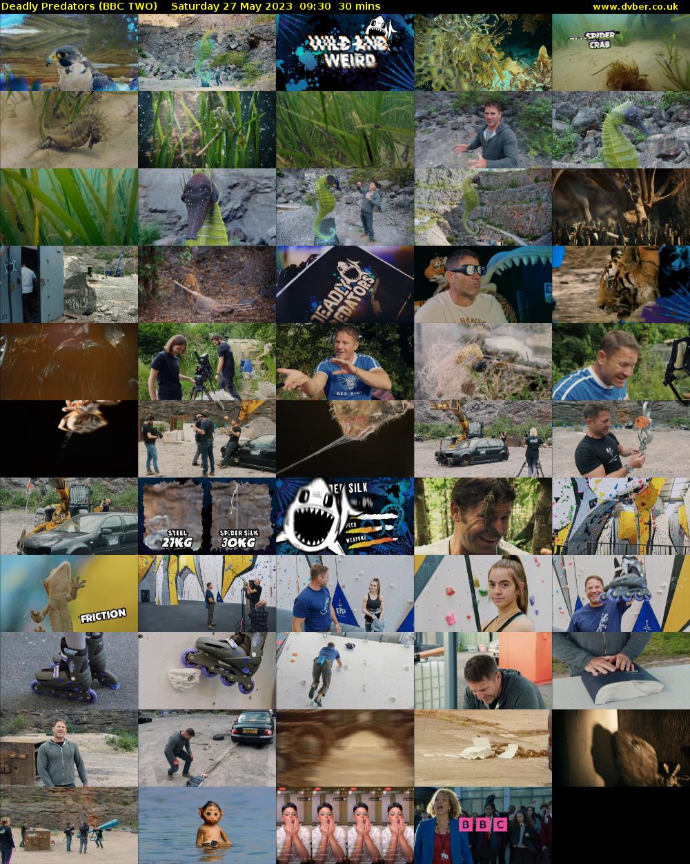 Deadly Predators (BBC TWO) Saturday 27 May 2023 09:30 - 10:00
