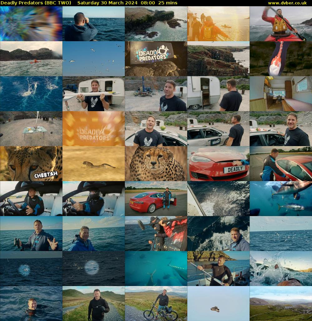 Deadly Predators (BBC TWO) Saturday 30 March 2024 08:00 - 08:25