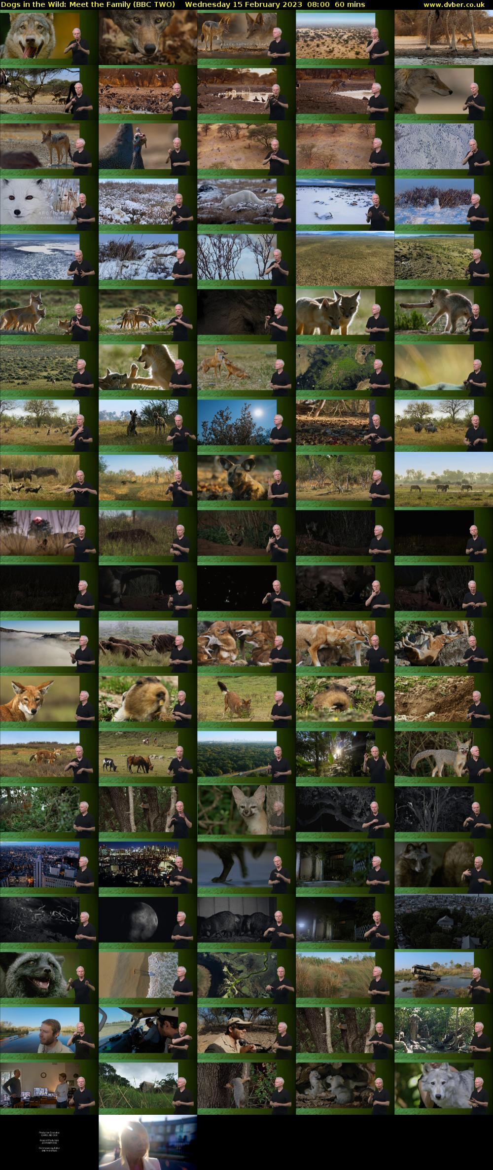 Dogs in the Wild: Meet the Family (BBC TWO) Wednesday 15 February 2023 08:00 - 09:00