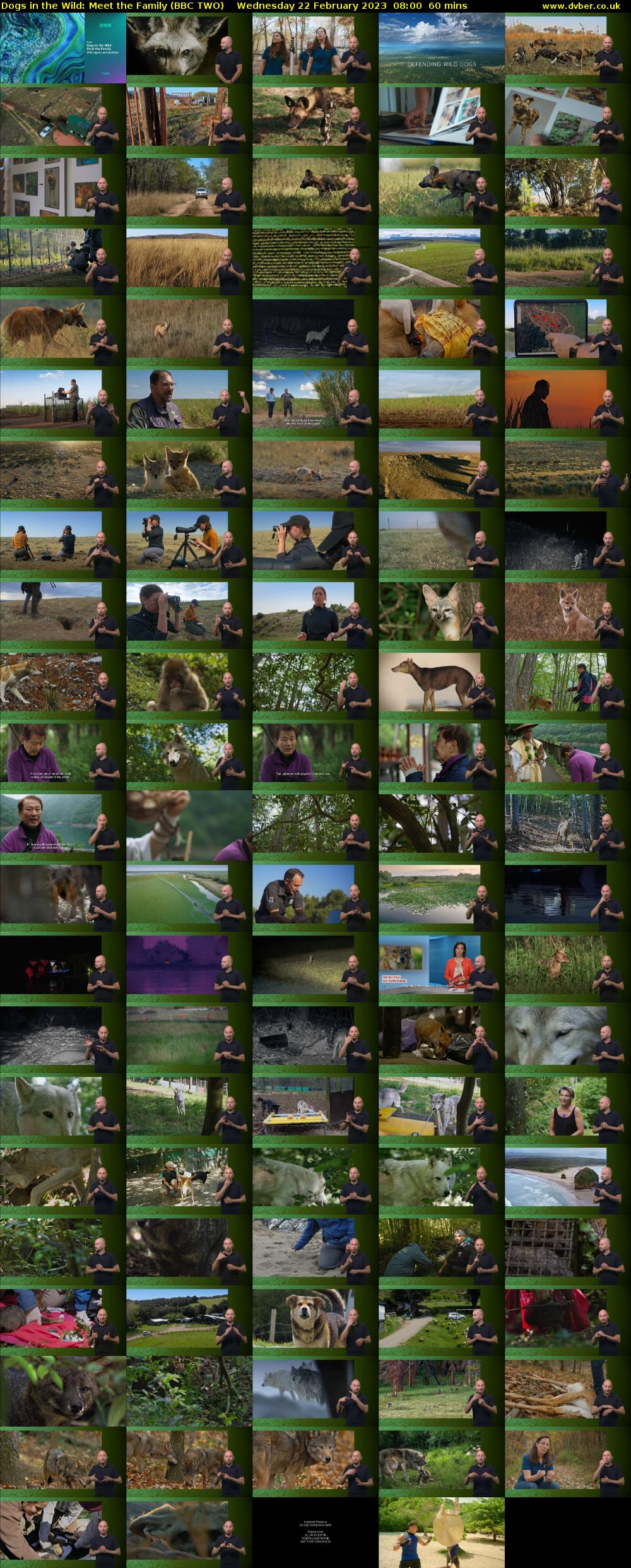 Dogs in the Wild: Meet the Family (BBC TWO) Wednesday 22 February 2023 08:00 - 09:00