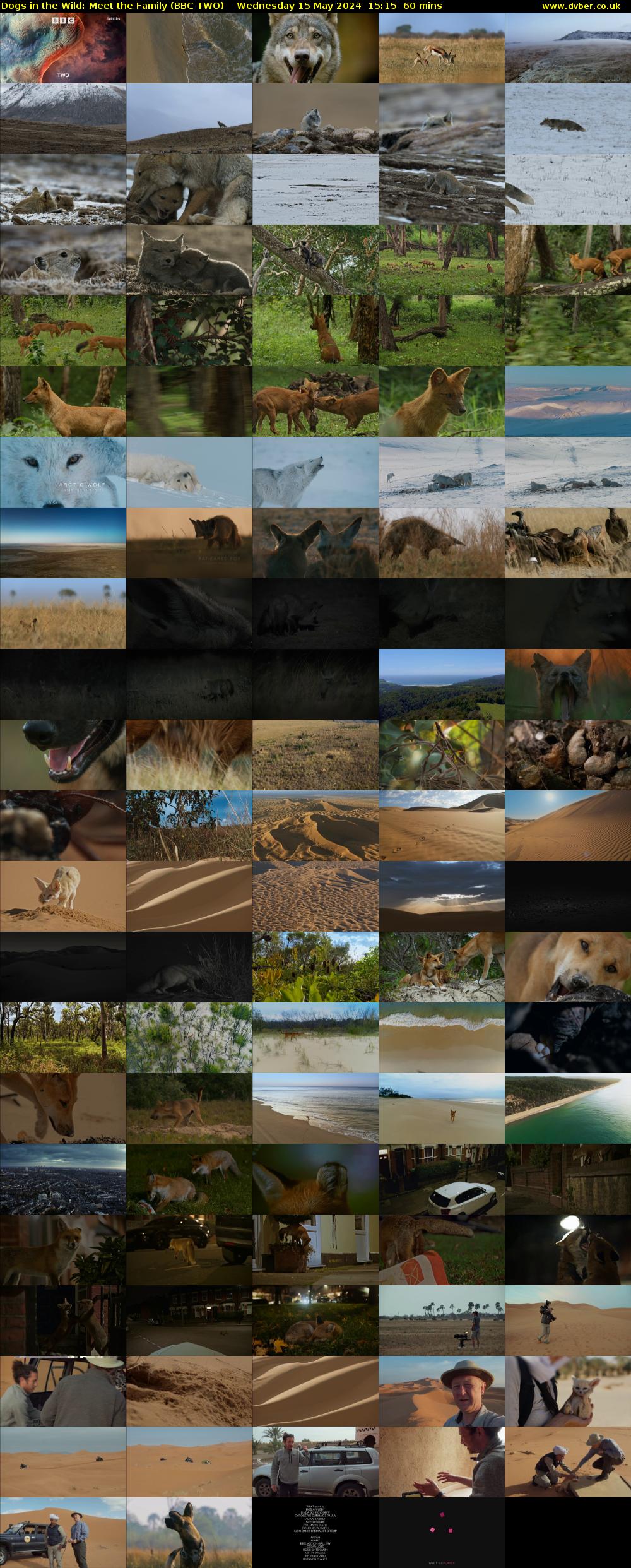 Dogs in the Wild: Meet the Family (BBC TWO) Wednesday 15 May 2024 15:15 - 16:15