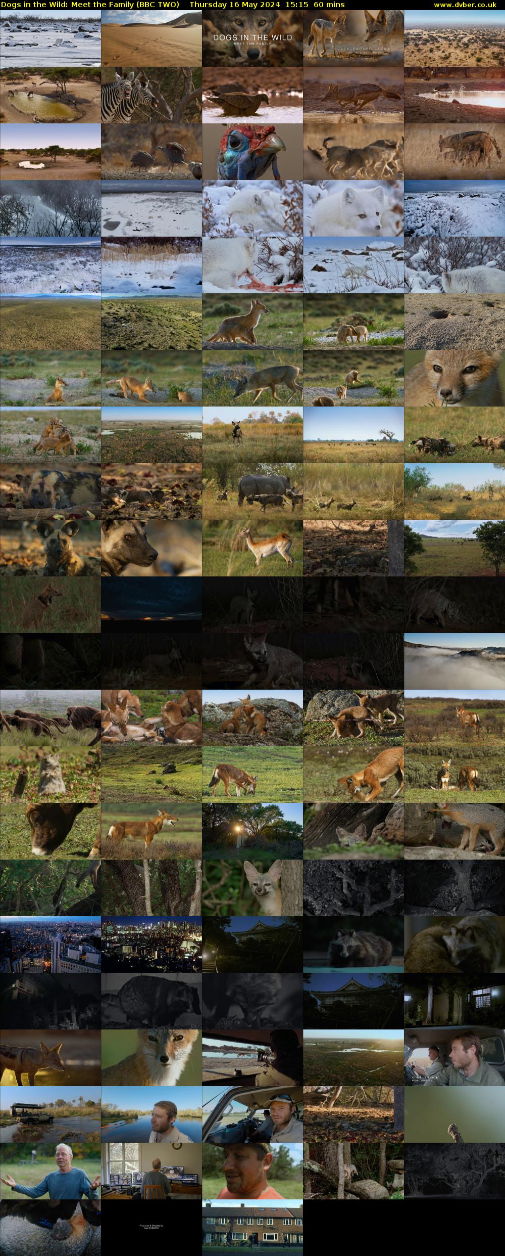 Dogs in the Wild: Meet the Family (BBC TWO) Thursday 16 May 2024 15:15 - 16:15