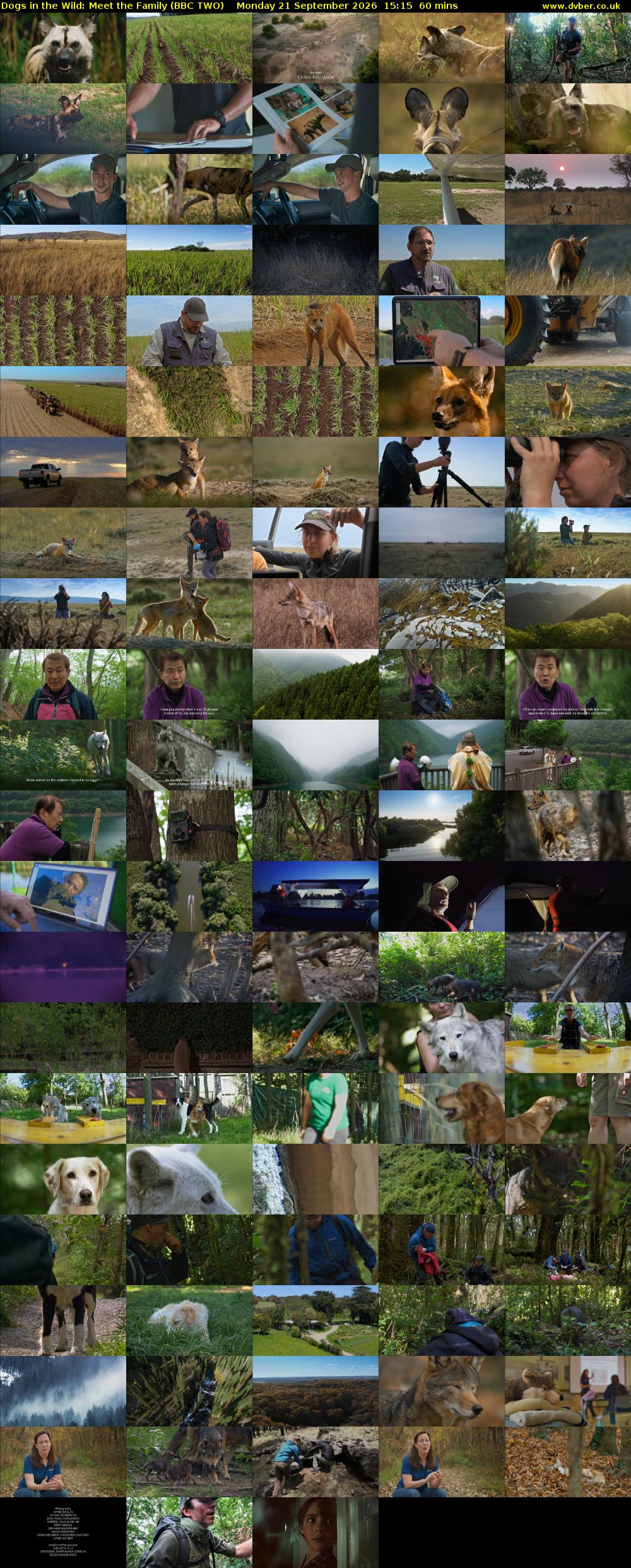 Dogs in the Wild: Meet the Family (BBC TWO) Monday 21 September 2026 15:15 - 16:15