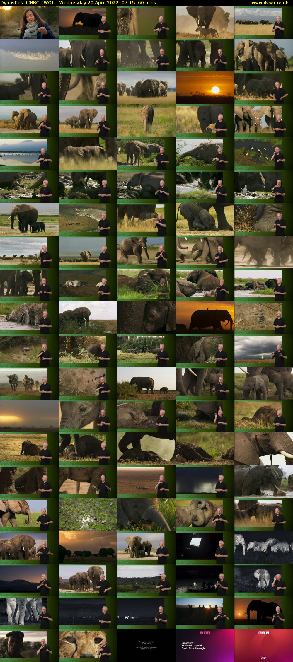 Dynasties II (BBC TWO) Wednesday 20 April 2022 07:15 - 08:15