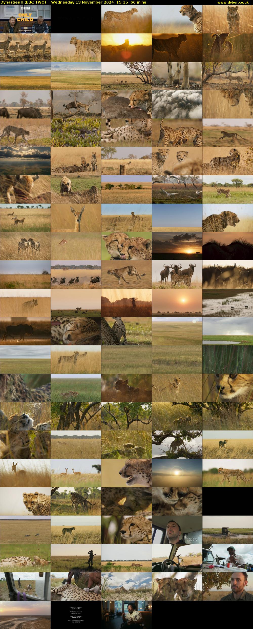Dynasties II (BBC TWO) Wednesday 13 November 2024 15:15 - 16:15