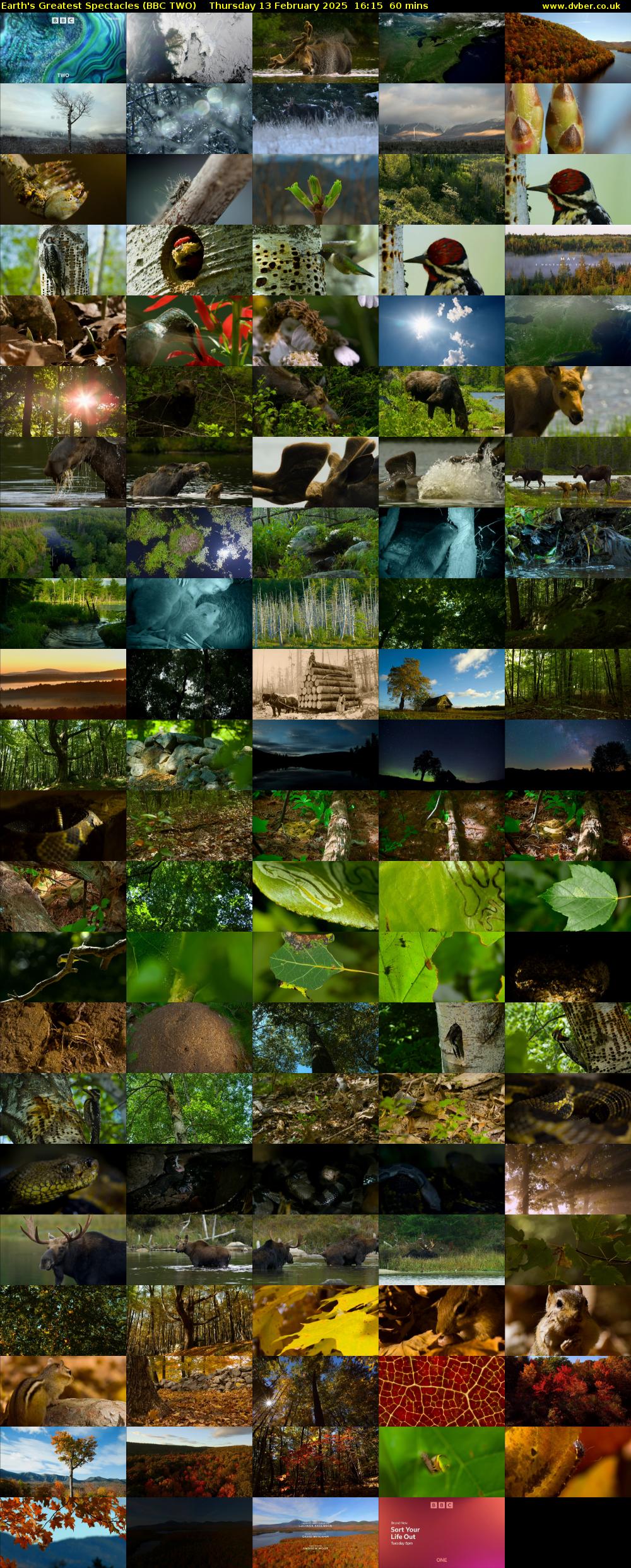 Earth's Greatest Spectacles (BBC TWO) Thursday 13 February 2025 16:15 - 17:15