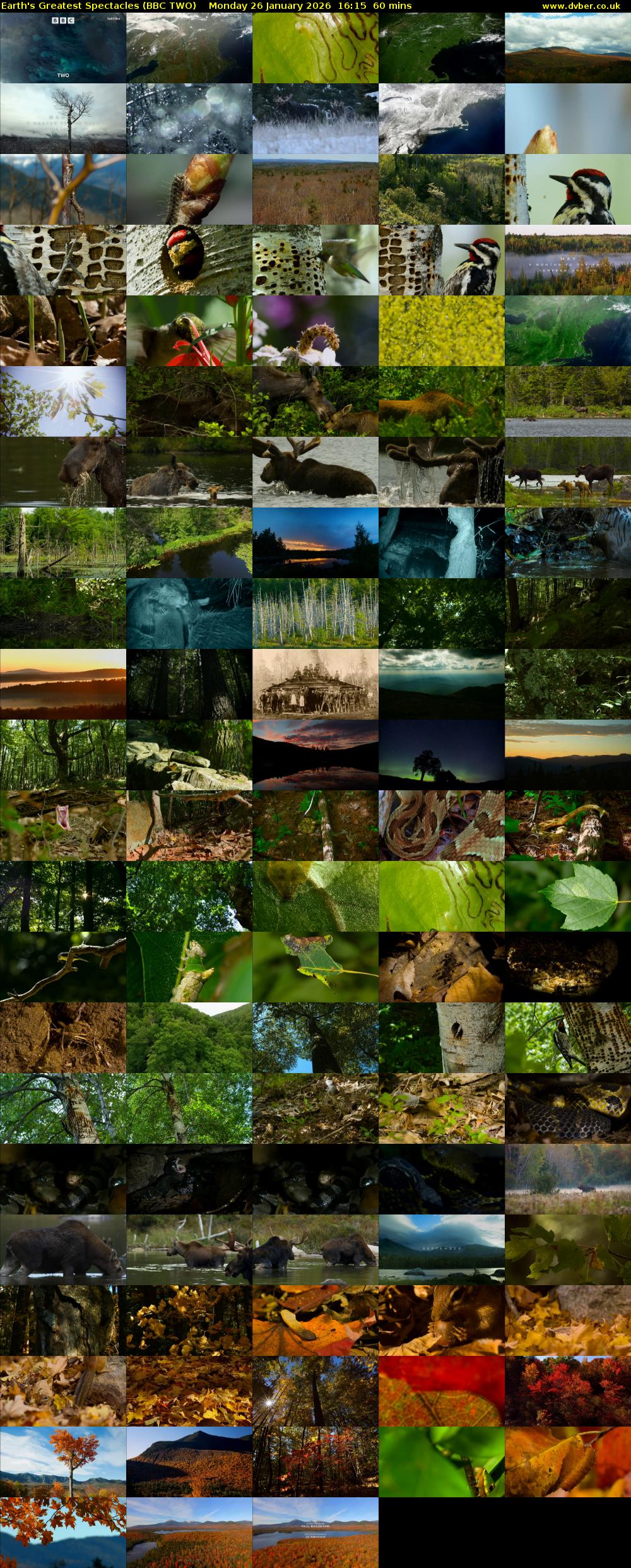 Earth's Greatest Spectacles (BBC TWO) Monday 26 January 2026 16:15 - 17:15