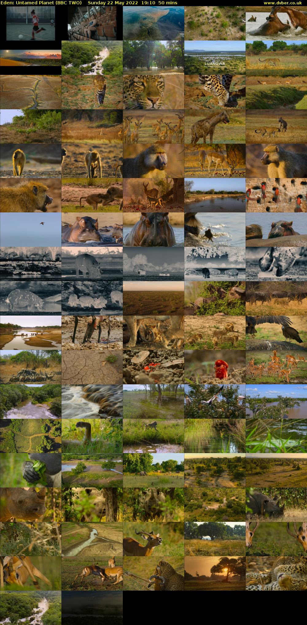 Eden: Untamed Planet (BBC TWO) Sunday 22 May 2022 19:10 - 20:00