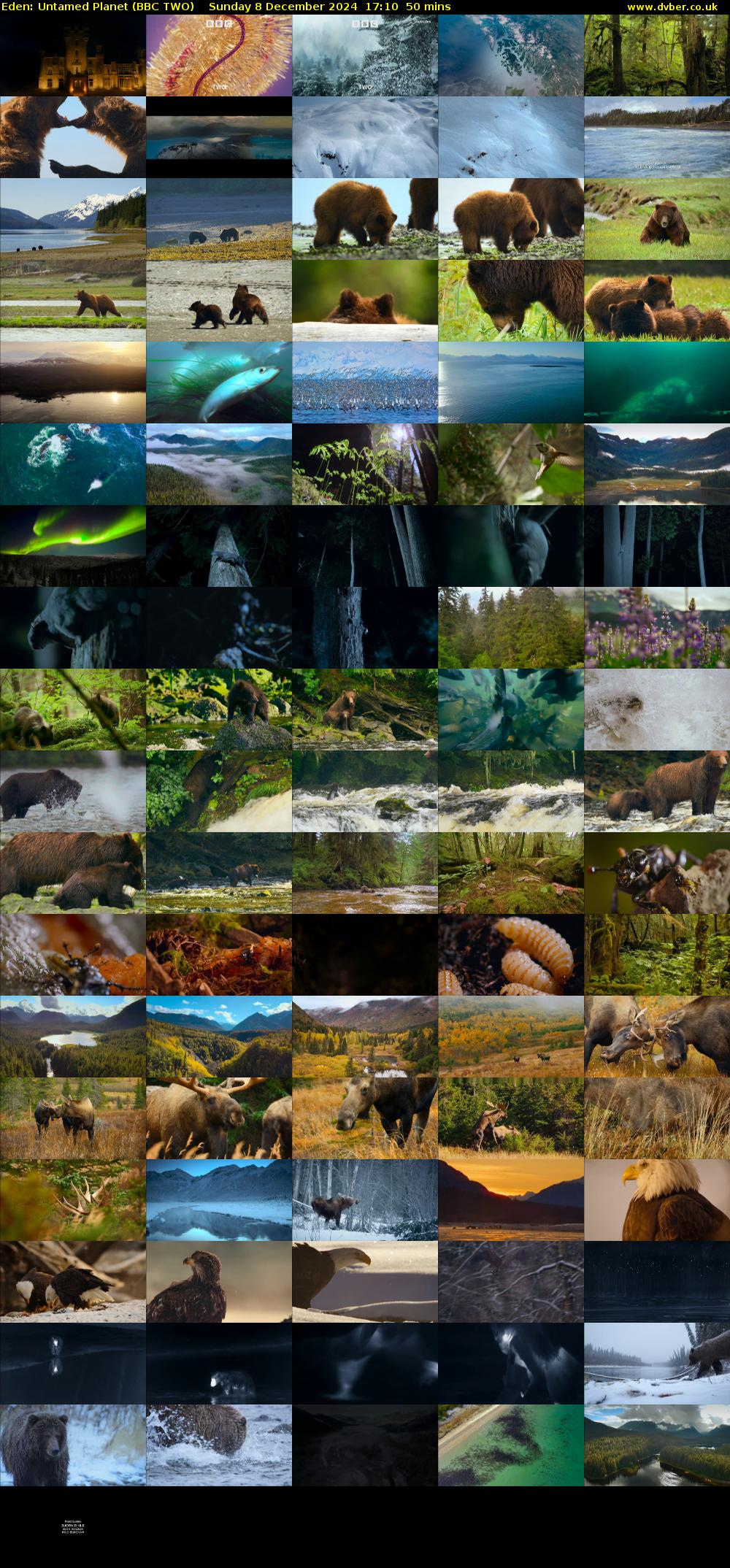 Eden: Untamed Planet (BBC TWO) Sunday 8 December 2024 17:10 - 18:00