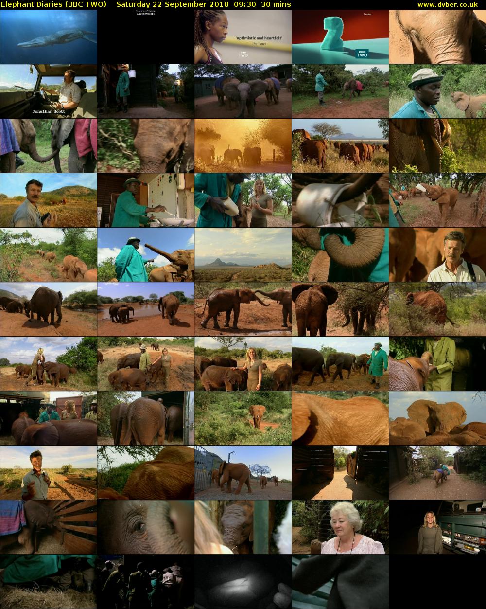 Elephant Diaries (BBC TWO) Saturday 22 September 2018 09:30 - 10:00
