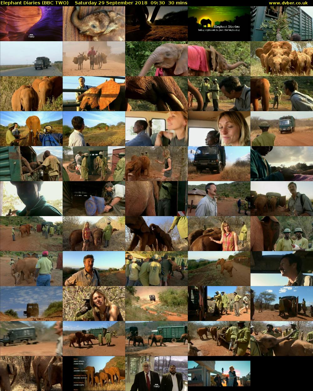 Elephant Diaries (BBC TWO) Saturday 29 September 2018 09:30 - 10:00