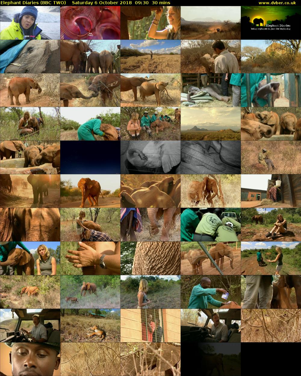 Elephant Diaries (BBC TWO) Saturday 6 October 2018 09:30 - 10:00