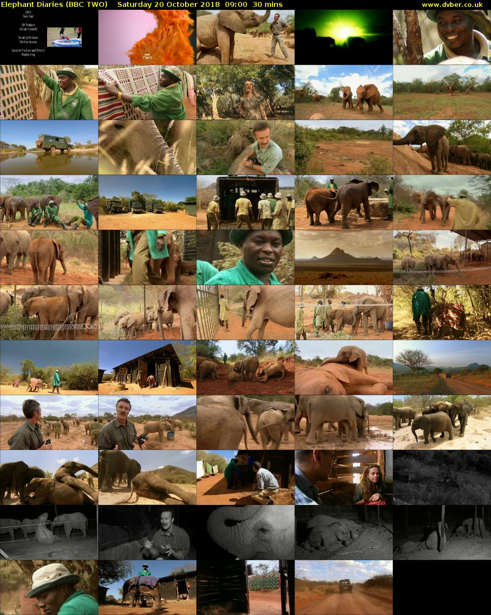 Elephant Diaries (BBC TWO) Saturday 20 October 2018 09:00 - 09:30