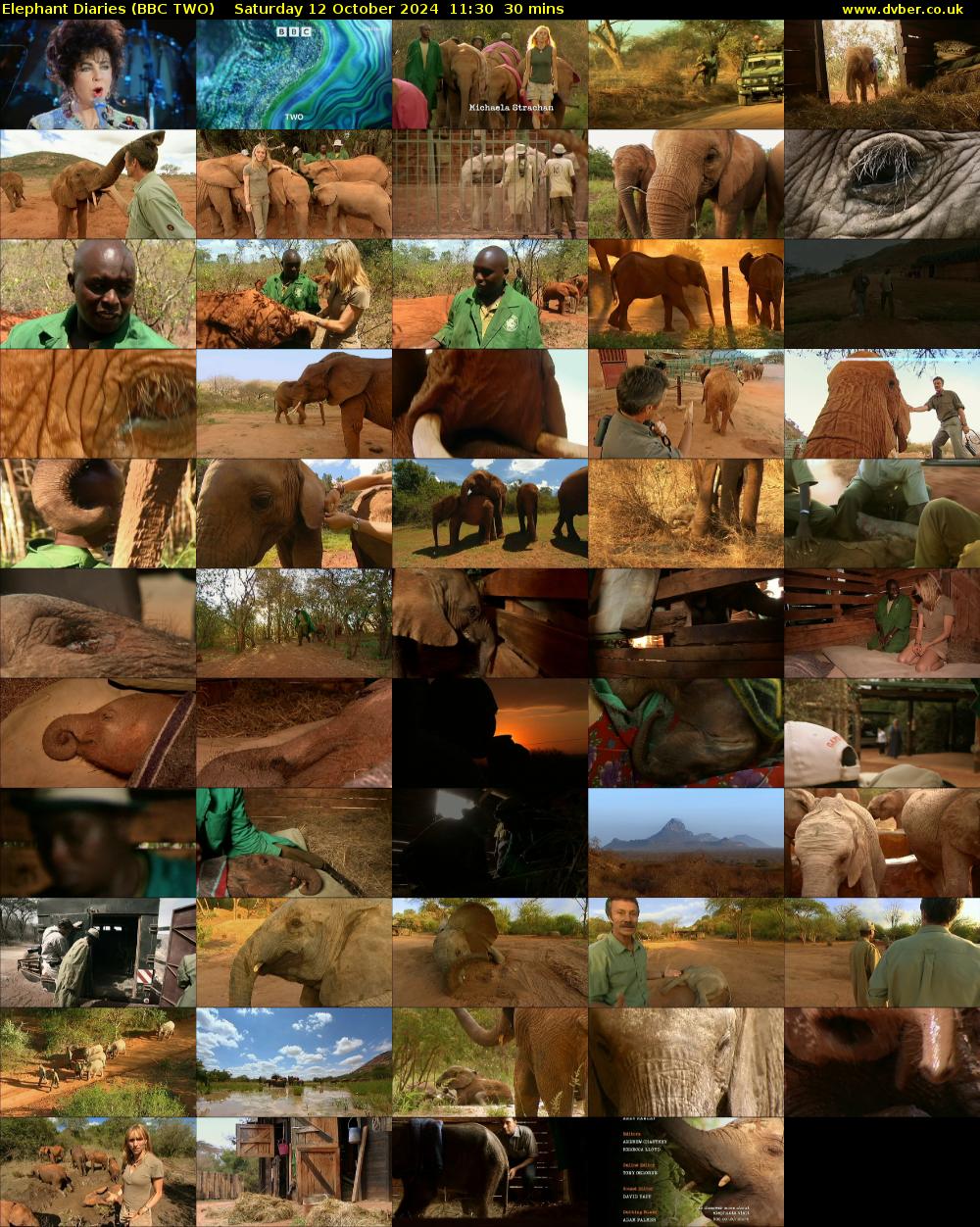 Elephant Diaries (BBC TWO) Saturday 12 October 2024 11:30 - 12:00