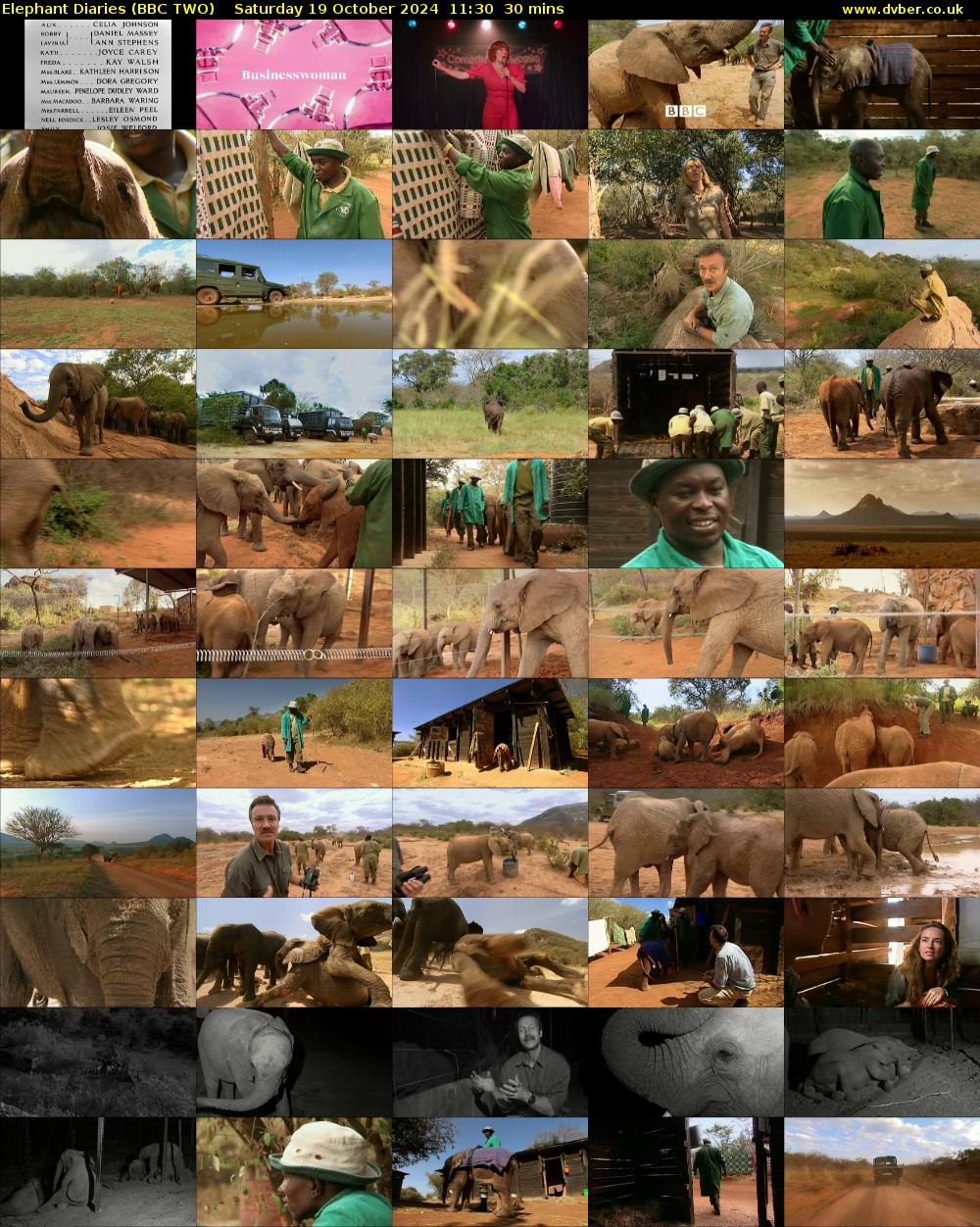 Elephant Diaries (BBC TWO) Saturday 19 October 2024 11:30 - 12:00