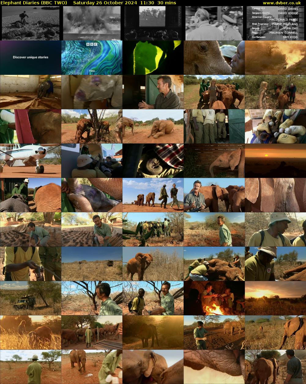 Elephant Diaries (BBC TWO) Saturday 26 October 2024 11:30 - 12:00