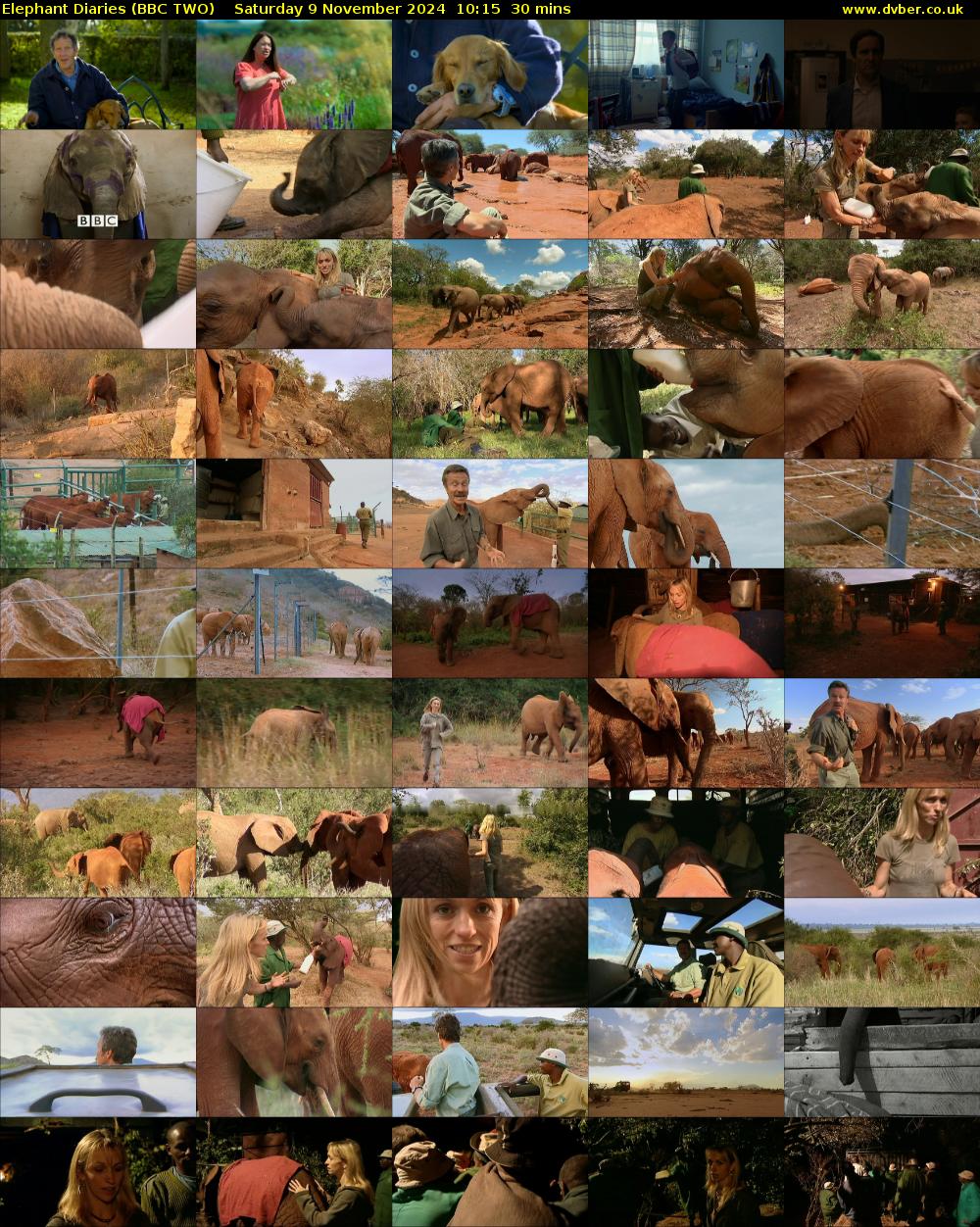 Elephant Diaries (BBC TWO) Saturday 9 November 2024 10:15 - 10:45