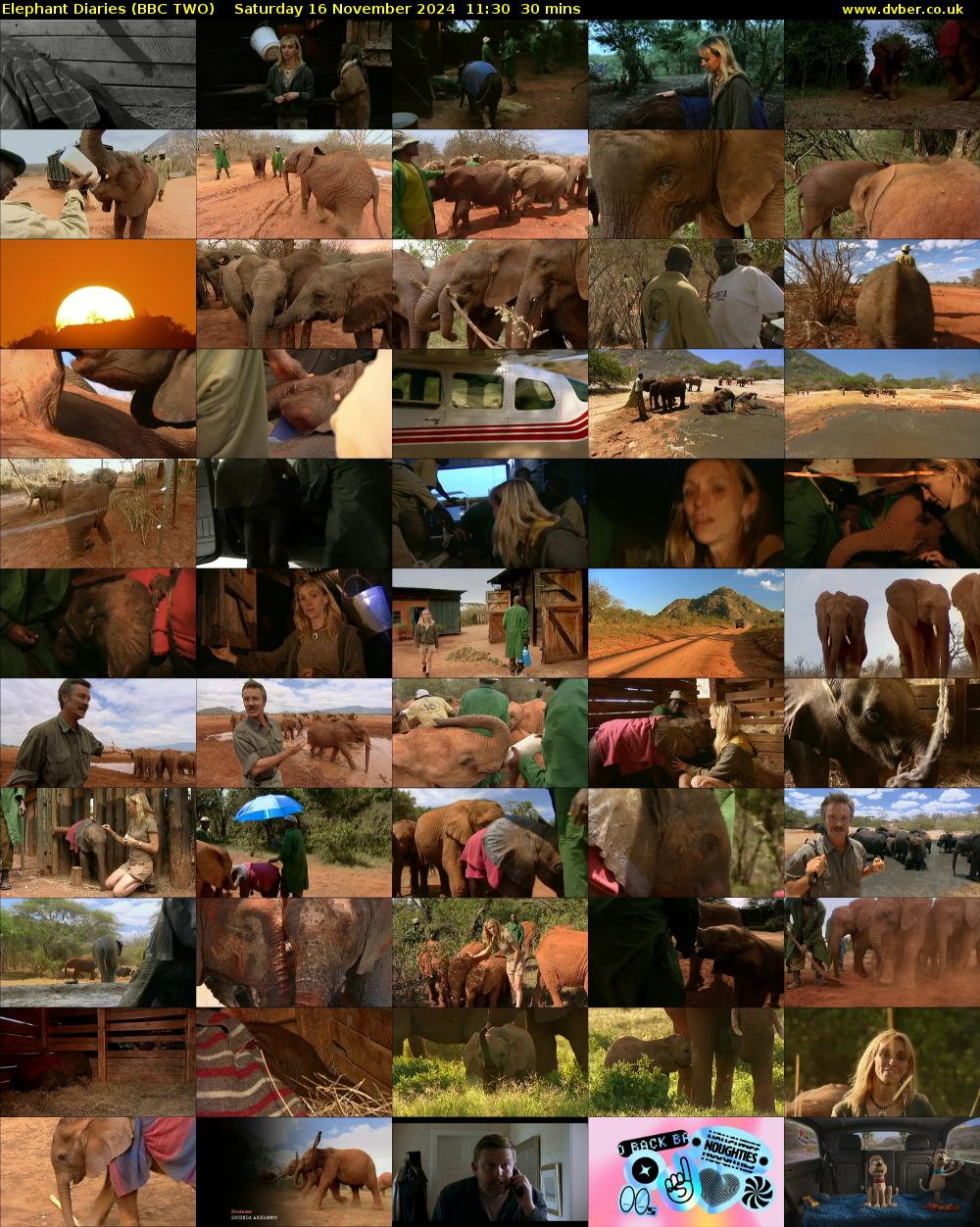 Elephant Diaries (BBC TWO) Saturday 16 November 2024 11:30 - 12:00