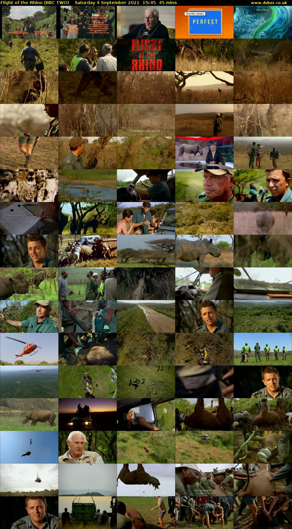 Flight of the Rhino (BBC TWO) Saturday 4 September 2021 15:45 - 16:30