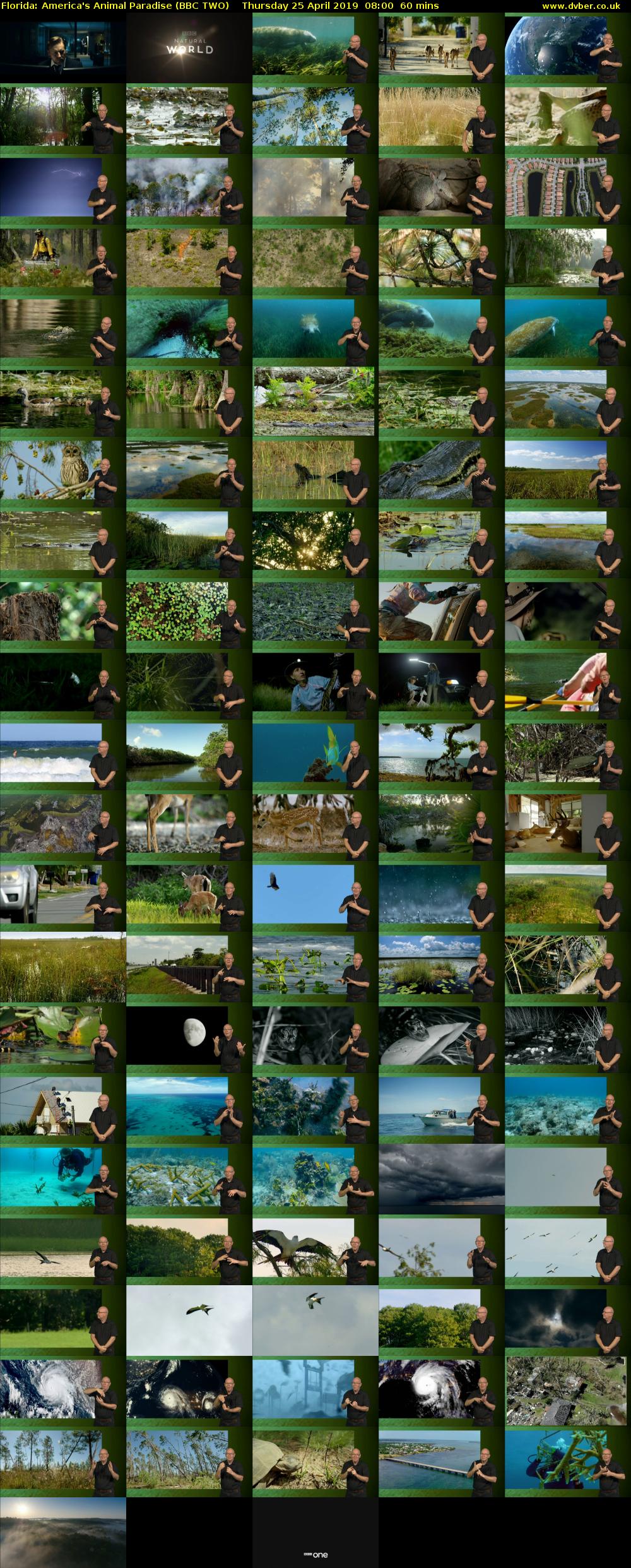 Florida: America's Animal Paradise (BBC TWO) Thursday 25 April 2019 08:00 - 09:00