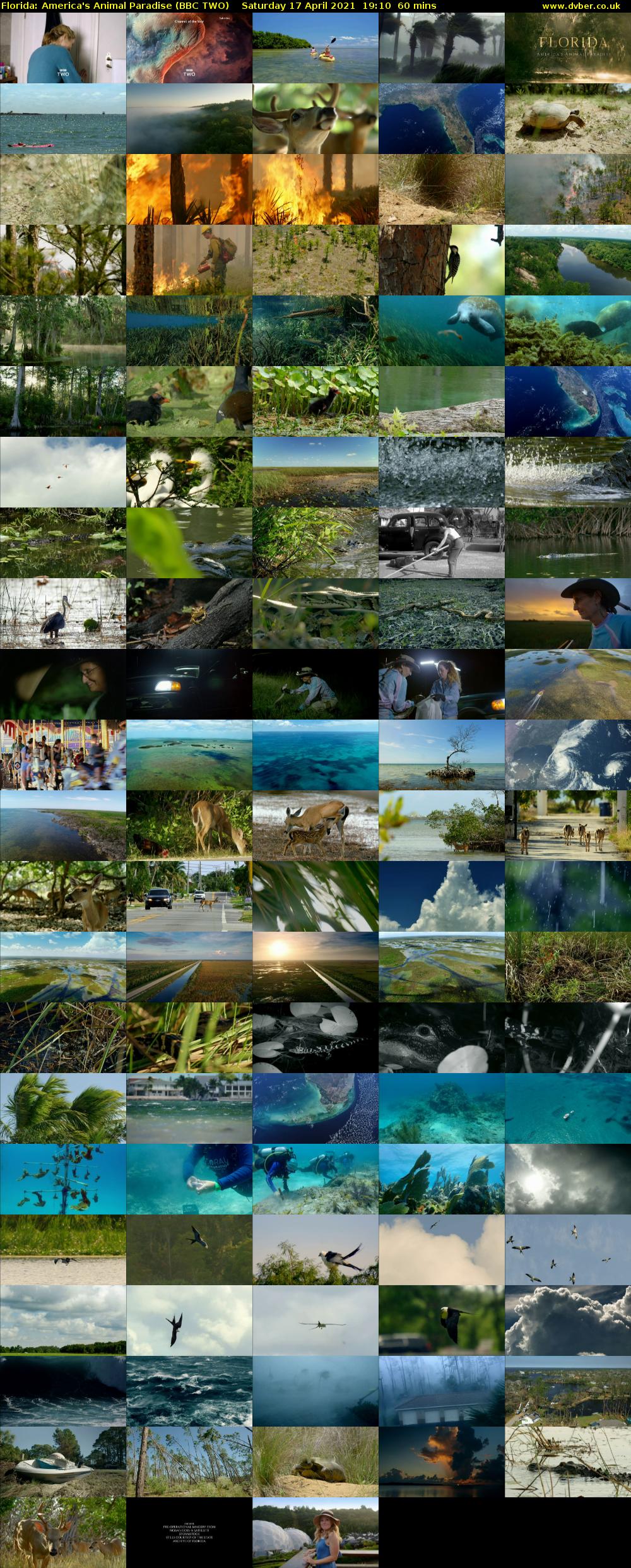 Florida: America's Animal Paradise (BBC TWO) Saturday 17 April 2021 19:10 - 20:10