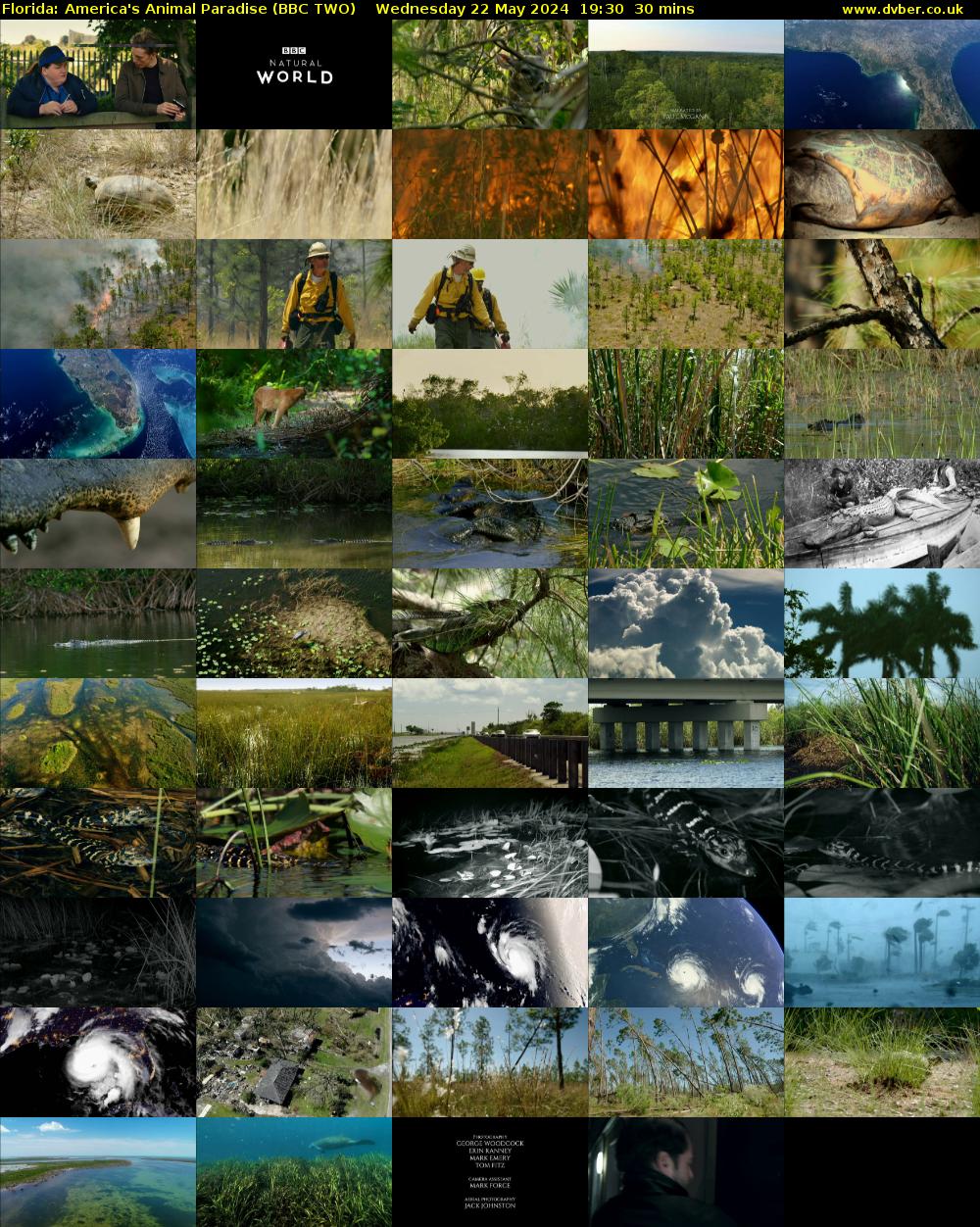 Florida: America's Animal Paradise (BBC TWO) Wednesday 22 May 2024 19:30 - 20:00