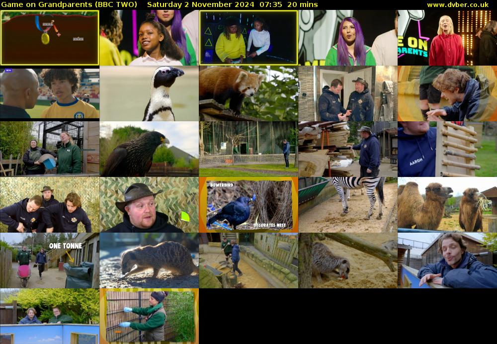 Game on Grandparents (BBC TWO) Saturday 2 November 2024 07:35 - 07:55