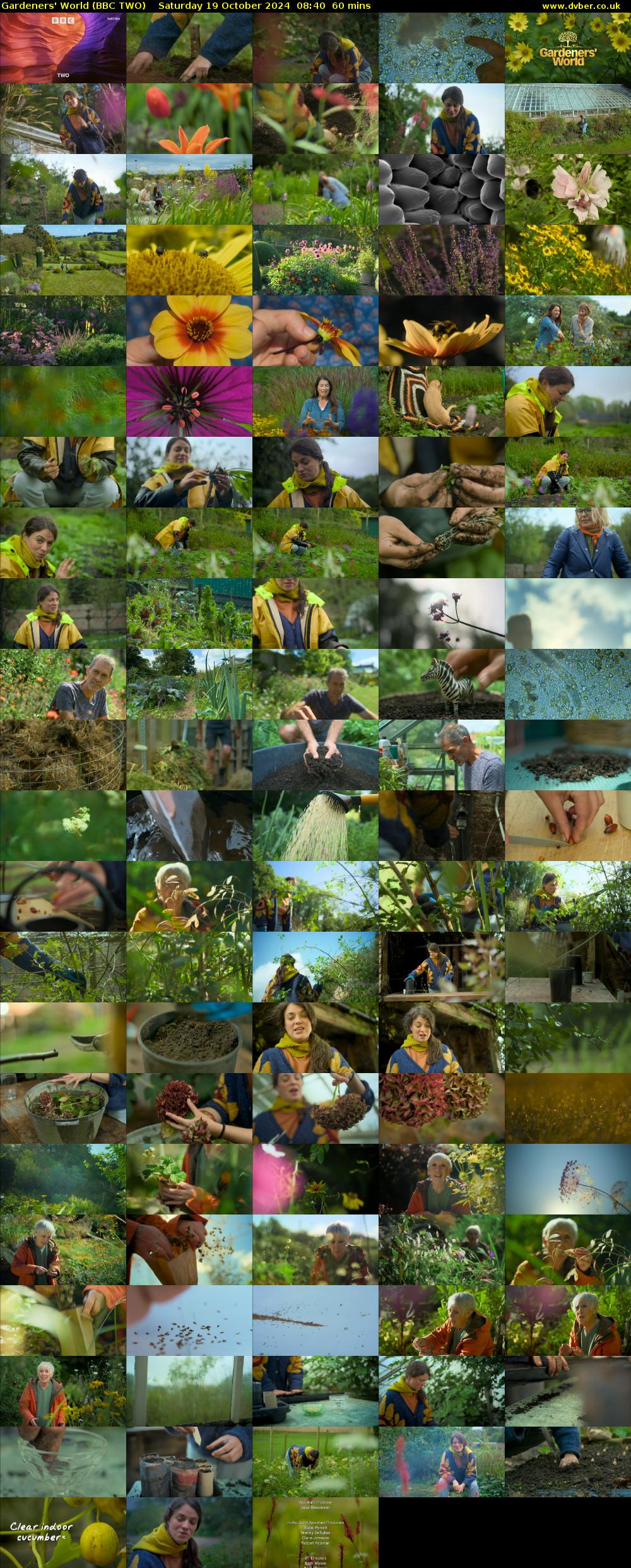Gardeners' World (BBC TWO) Saturday 19 October 2024 08:40 - 09:40
