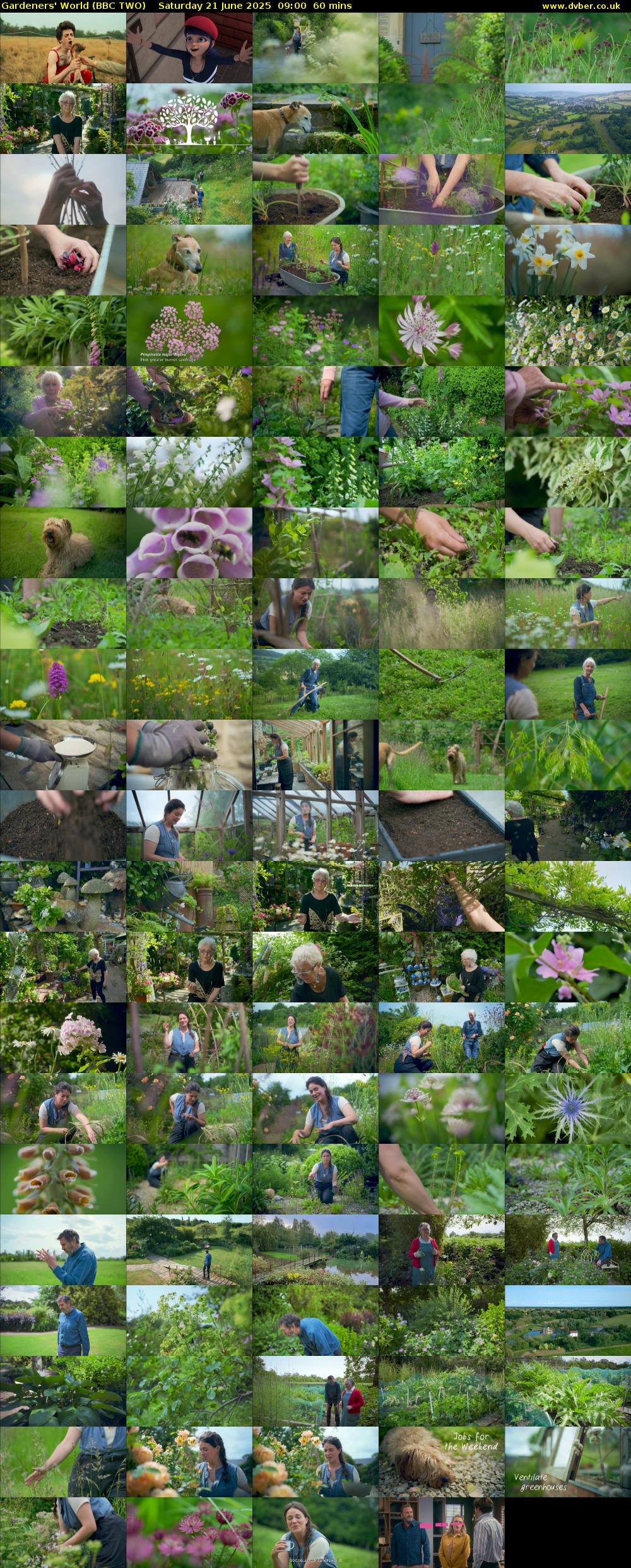 Gardeners' World (BBC TWO) Saturday 21 June 2025 09:00 - 10:00