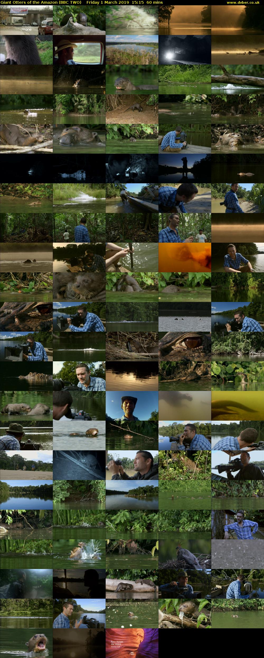 Giant Otters of the Amazon (BBC TWO) Friday 1 March 2019 15:15 - 16:15