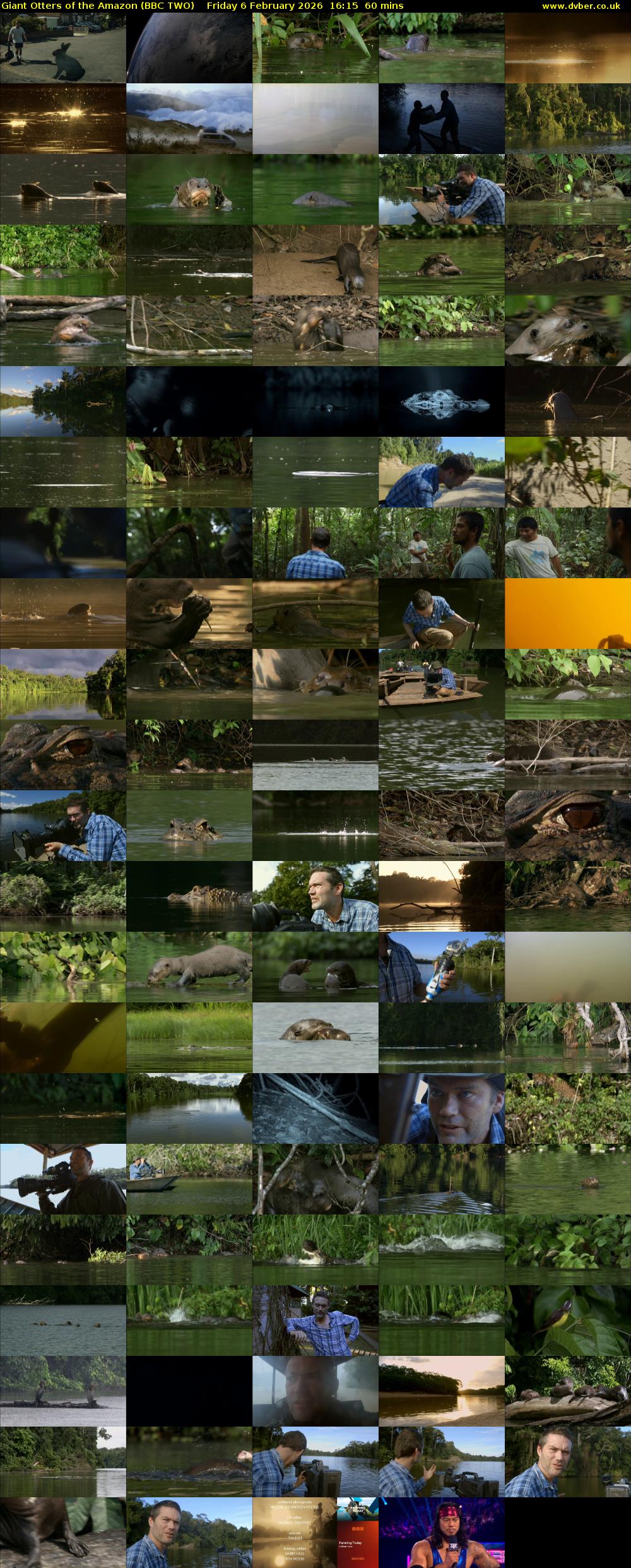 Giant Otters of the Amazon (BBC TWO) Friday 6 February 2026 16:15 - 17:15