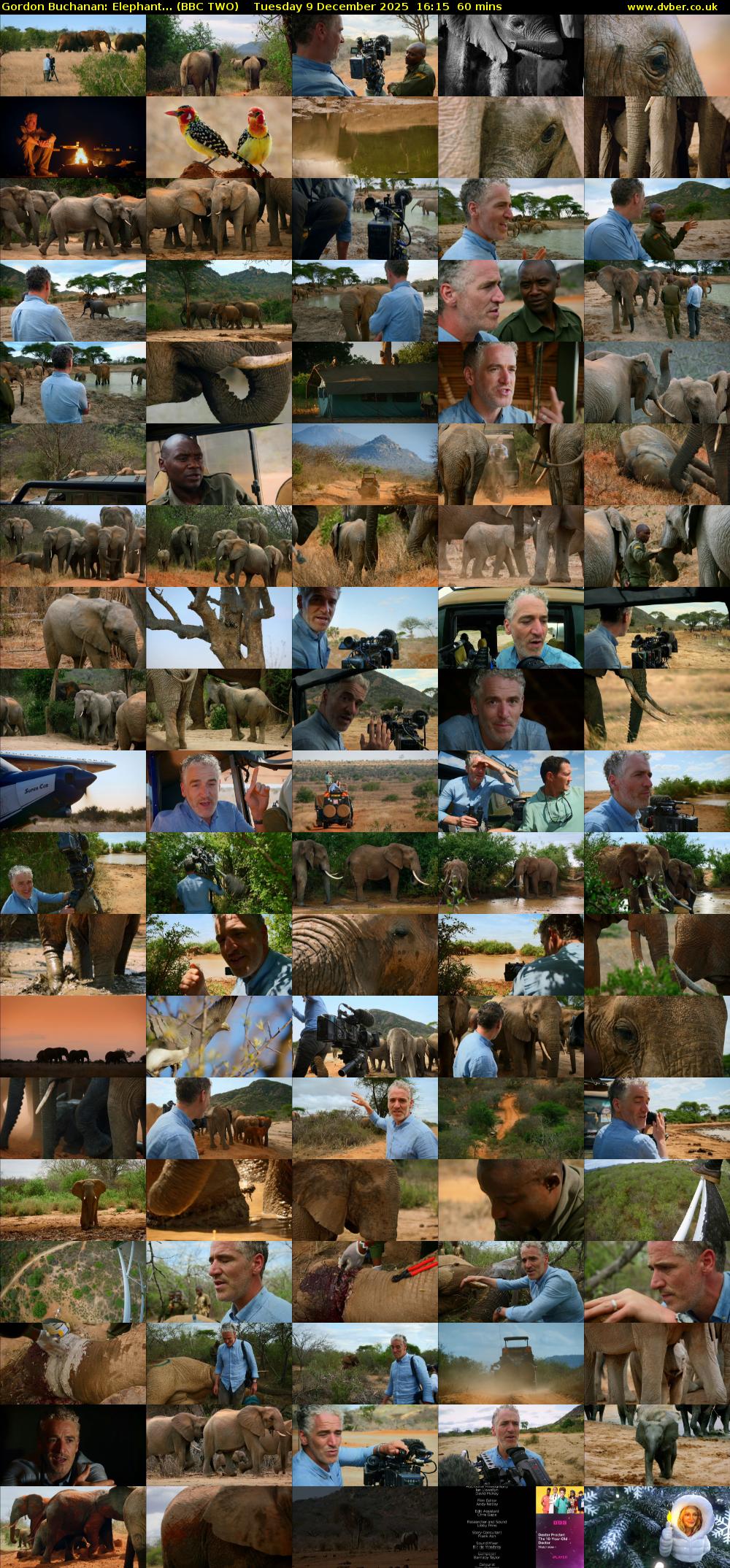 Gordon Buchanan: Elephant... (BBC TWO) Tuesday 9 December 2025 16:15 - 17:15