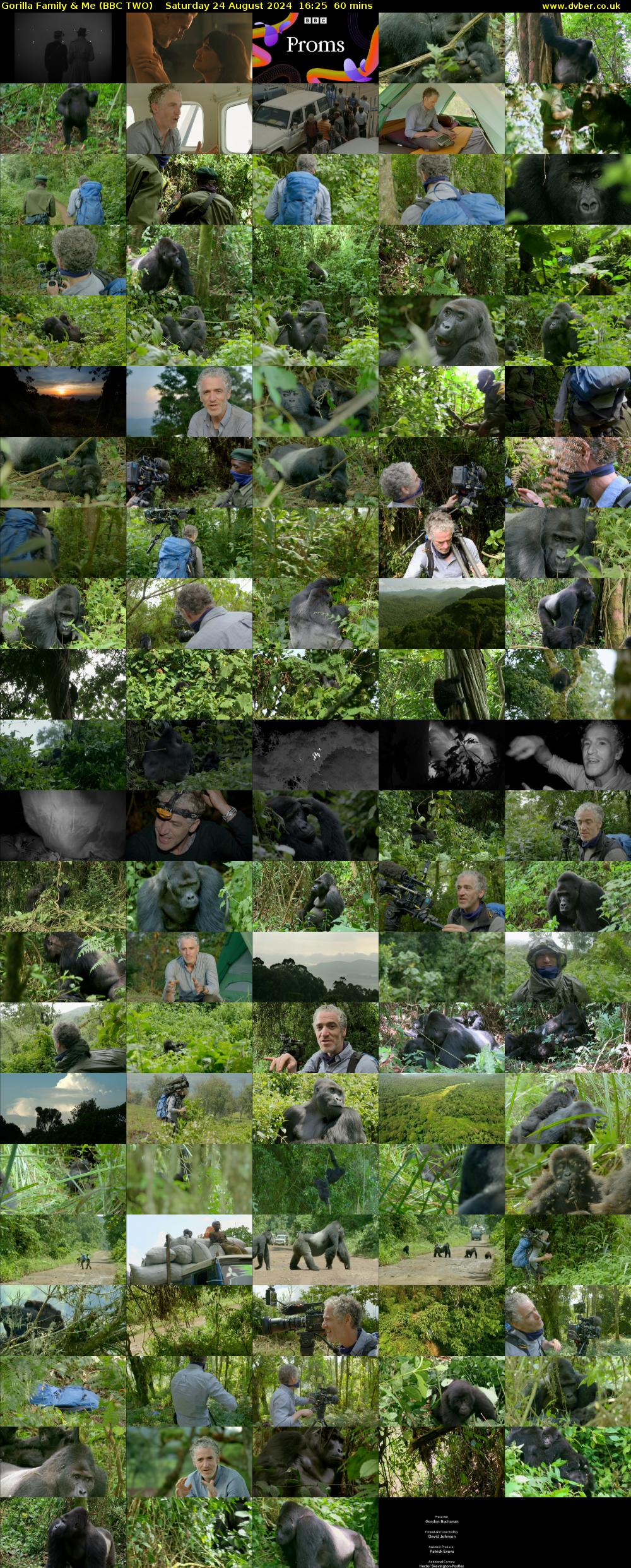 Gorilla Family & Me (BBC TWO) Saturday 24 August 2024 16:25 - 17:25