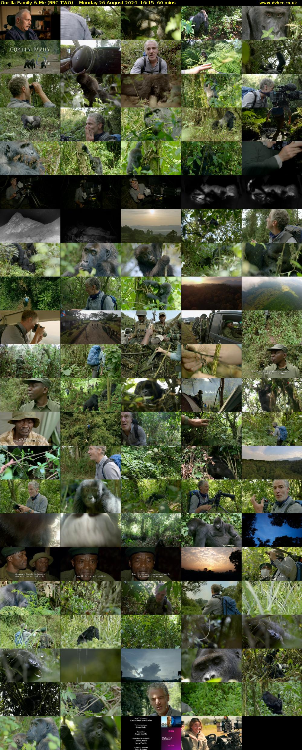 Gorilla Family & Me (BBC TWO) Monday 26 August 2024 16:15 - 17:15