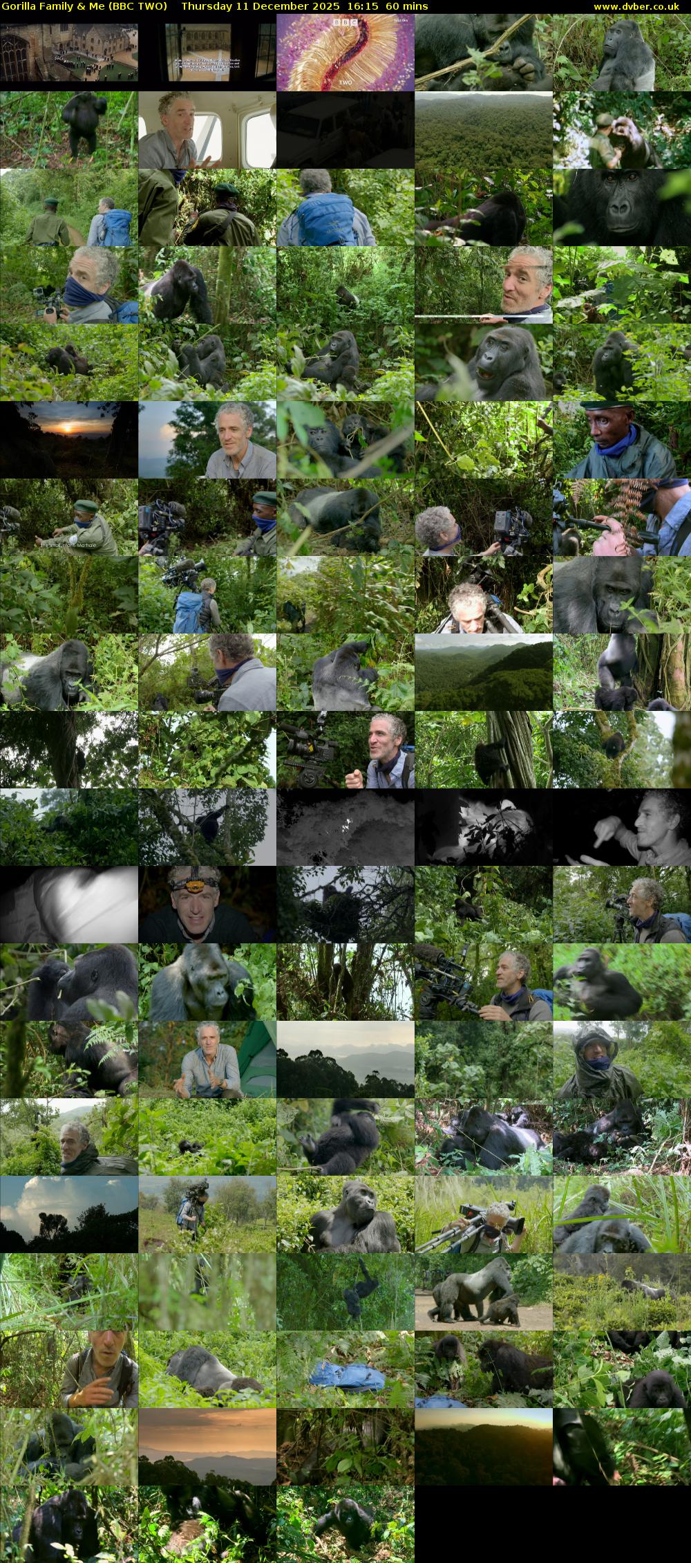 Gorilla Family & Me (BBC TWO) Thursday 11 December 2025 16:15 - 17:15