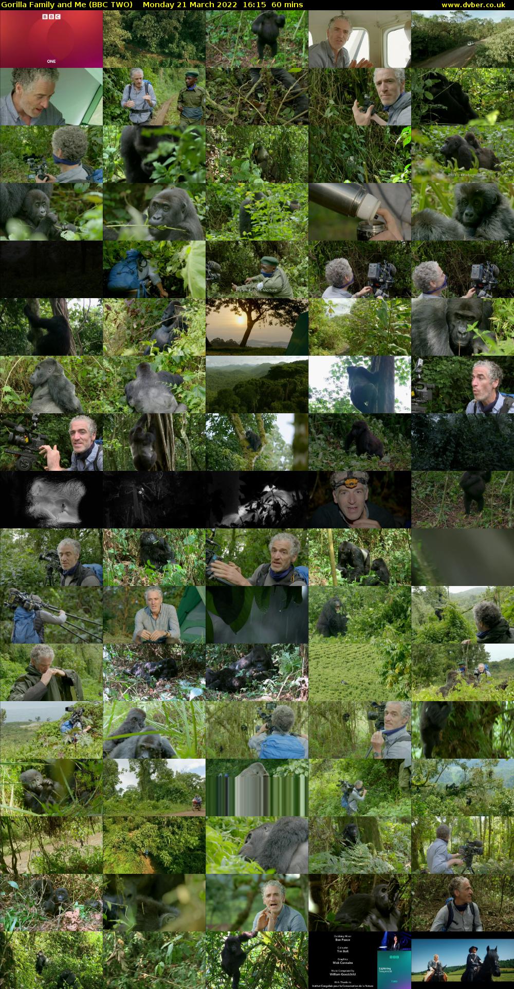 Gorilla Family and Me (BBC TWO) Monday 21 March 2022 16:15 - 17:15