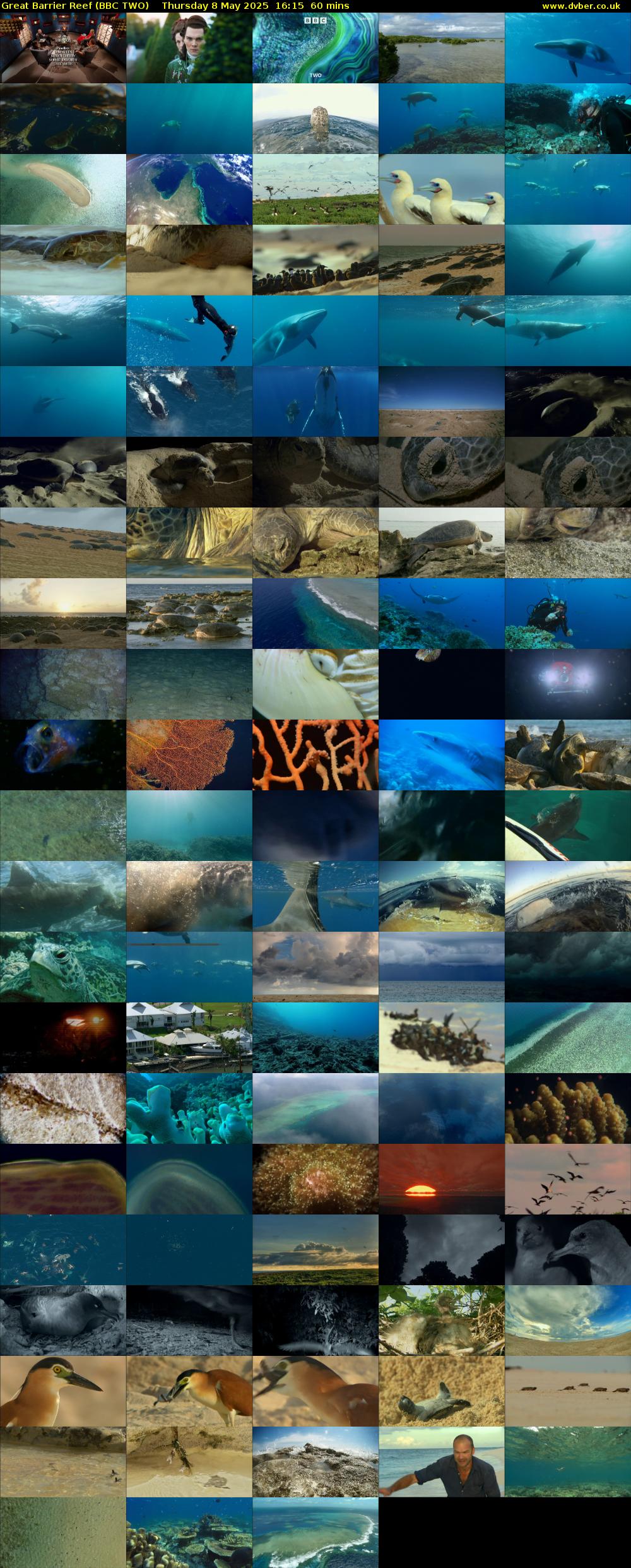 Great Barrier Reef (BBC TWO) Thursday 8 May 2025 16:15 - 17:15