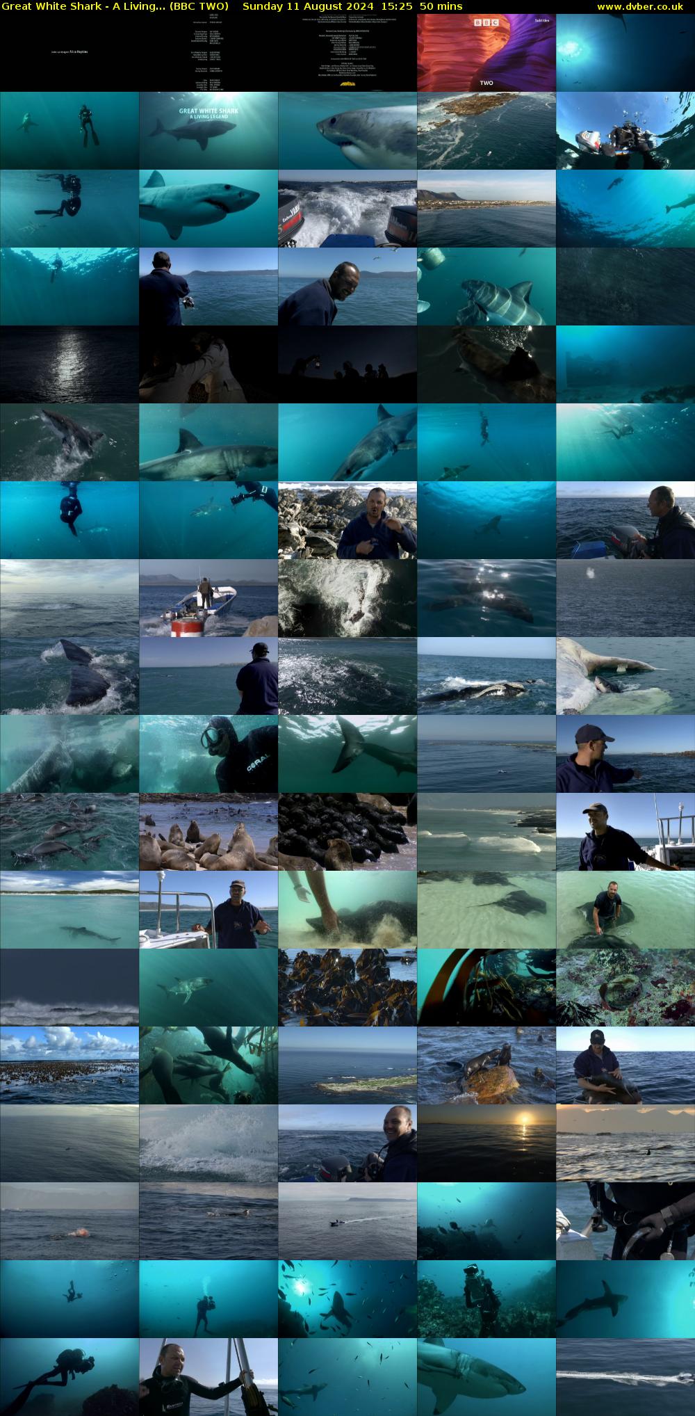 Great White Shark - A Living... (BBC TWO) Sunday 11 August 2024 15:25 - 16:15