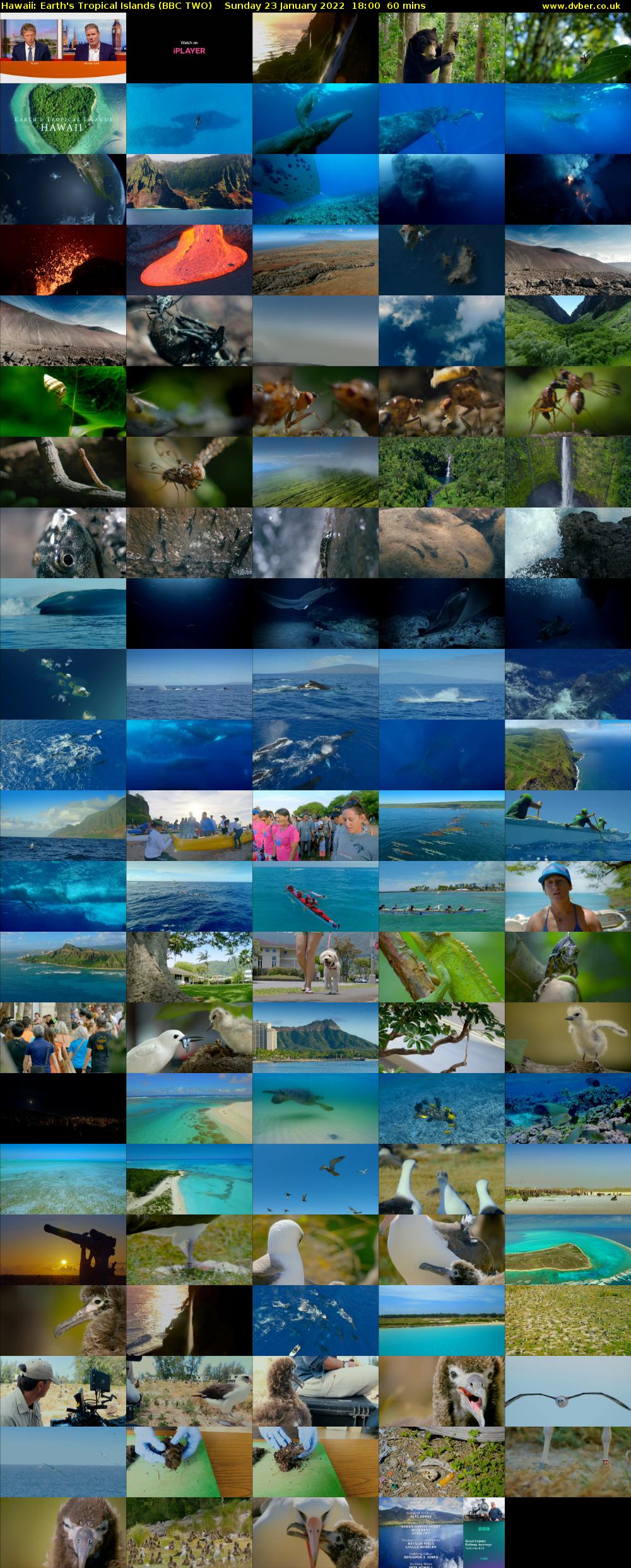 Hawaii: Earth's Tropical Islands (BBC TWO) Sunday 23 January 2022 18:00 - 19:00