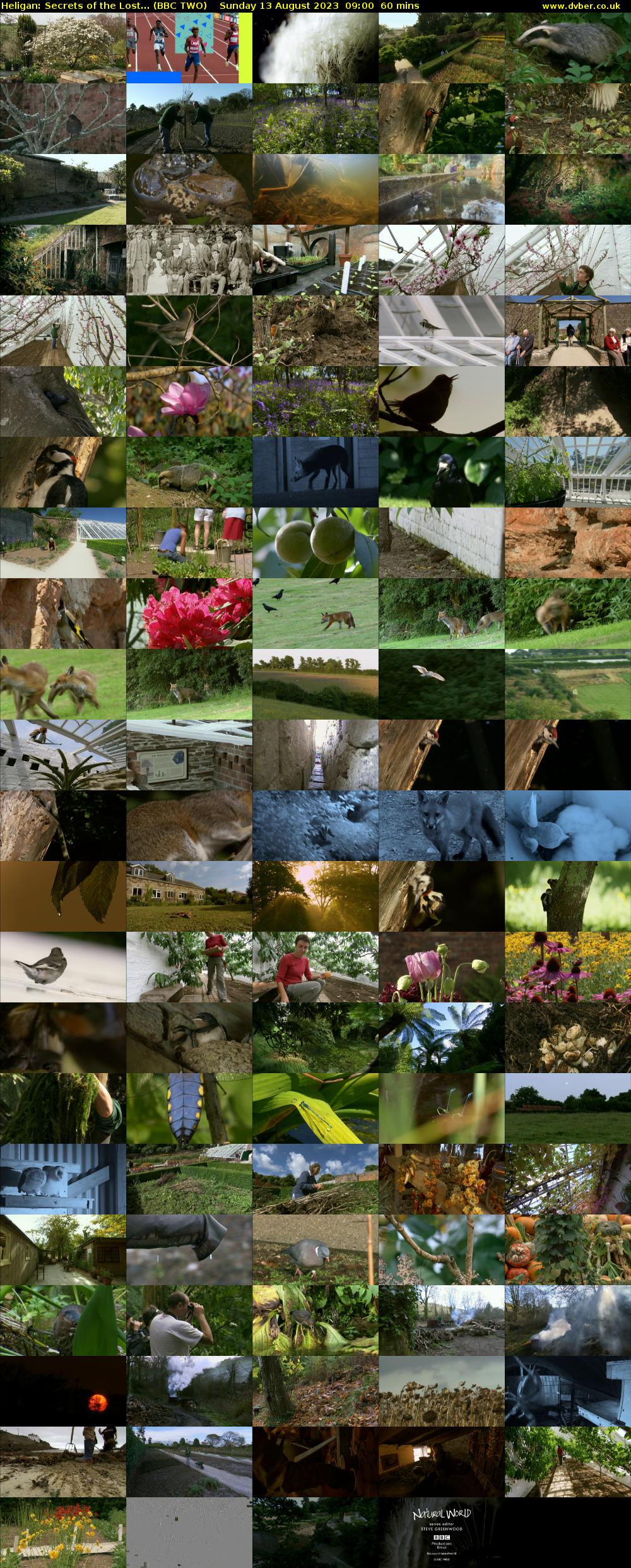 Heligan: Secrets of the Lost... (BBC TWO) Sunday 13 August 2023 09:00 - 10:00