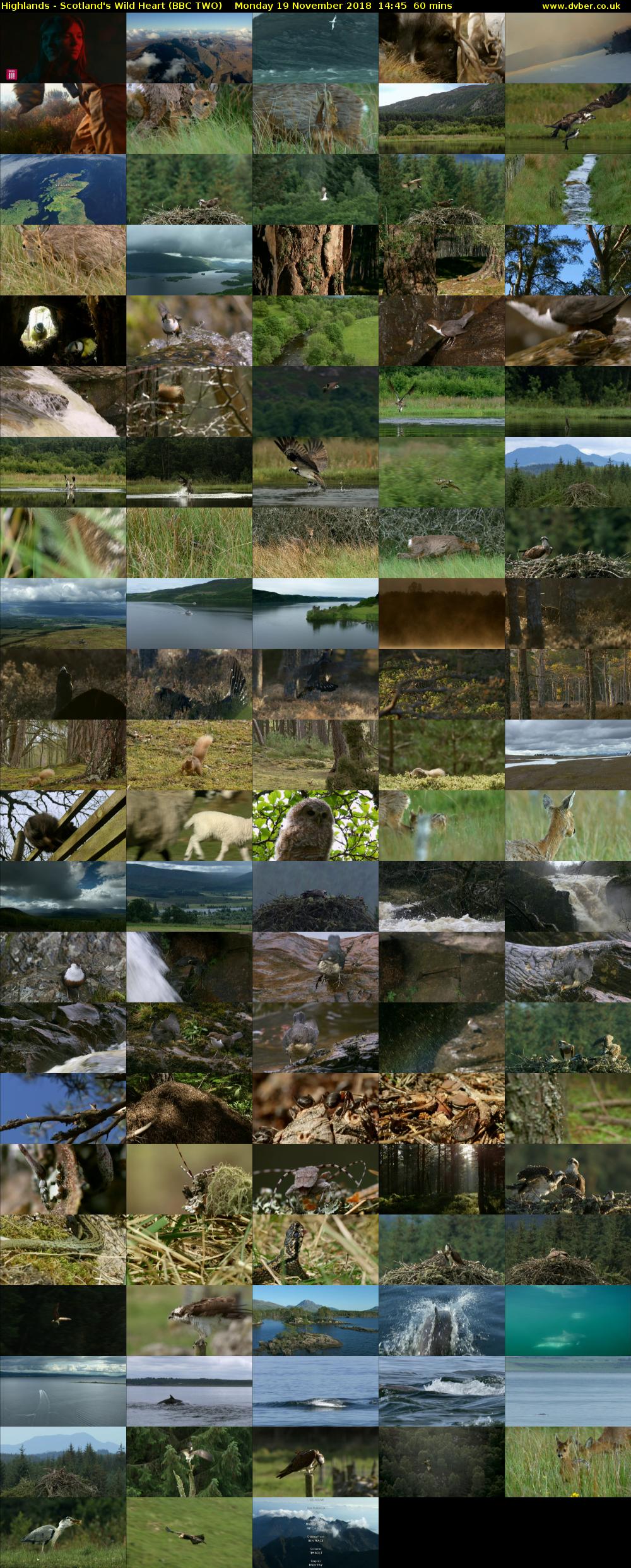 Highlands - Scotland's Wild Heart (BBC TWO) Monday 19 November 2018 14:45 - 15:45