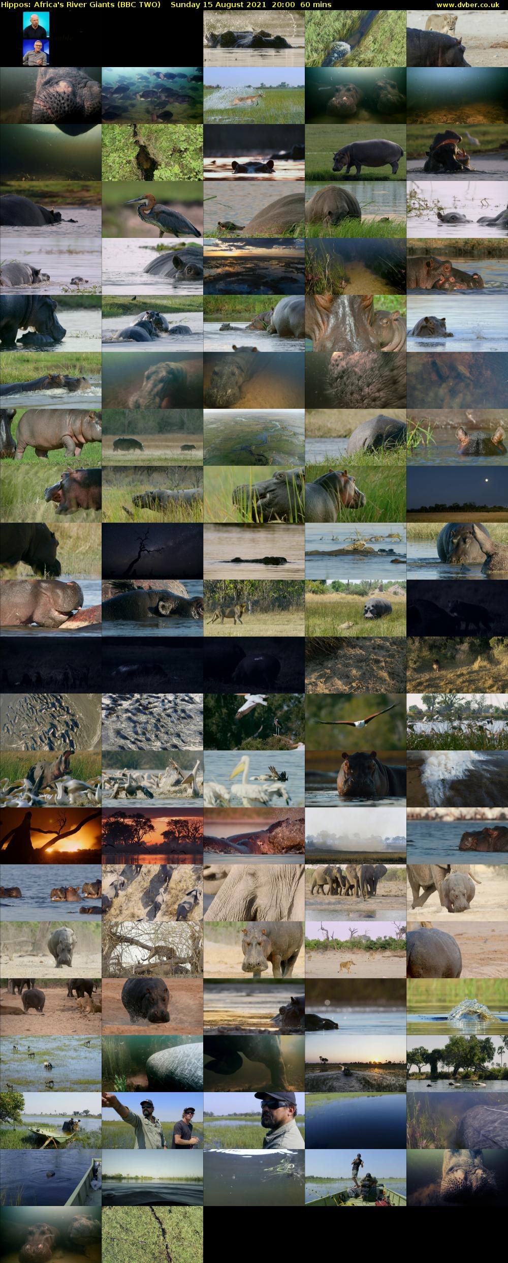 Hippos: Africa's River Giants (BBC TWO) Sunday 15 August 2021 20:00 - 21:00
