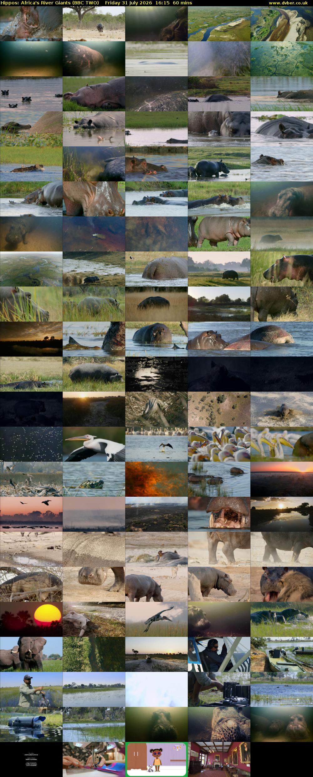Hippos: Africa's River Giants (BBC TWO) Friday 31 July 2026 16:15 - 17:15