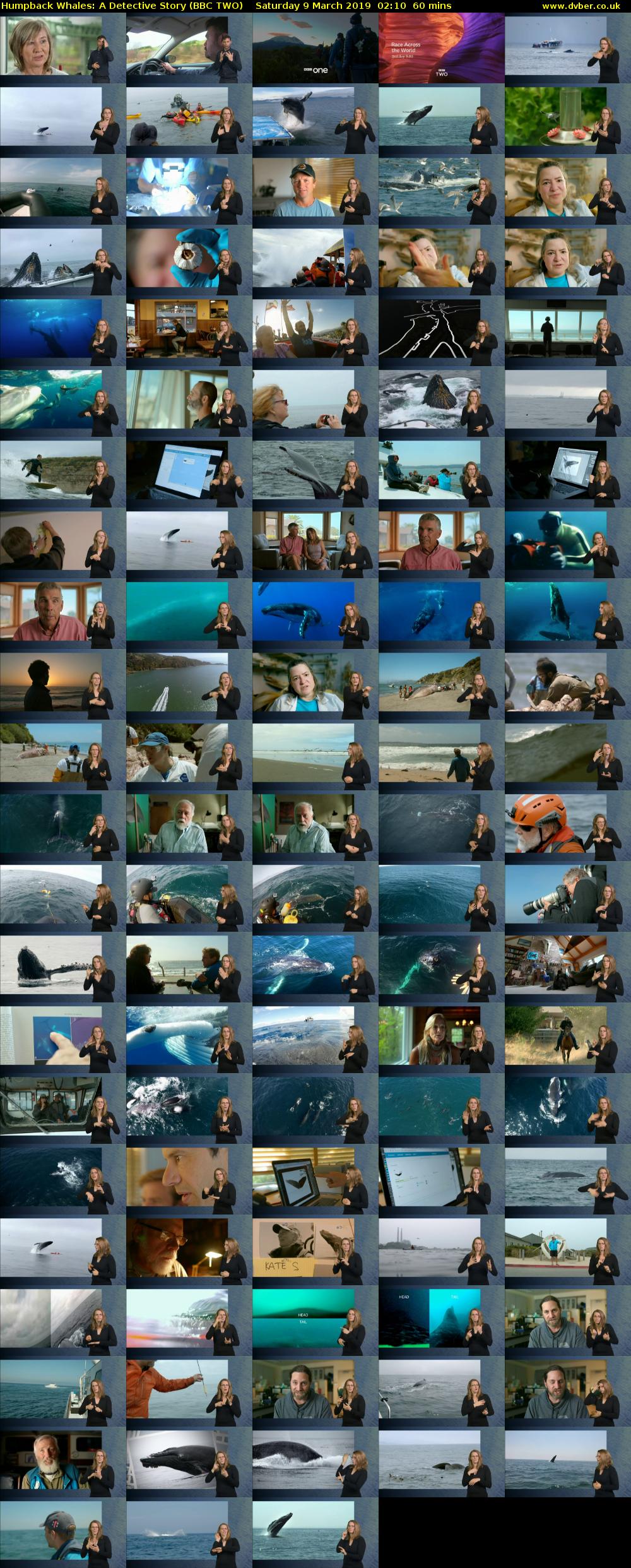 Humpback Whales: A Detective Story (BBC TWO) Saturday 9 March 2019 02:10 - 03:10