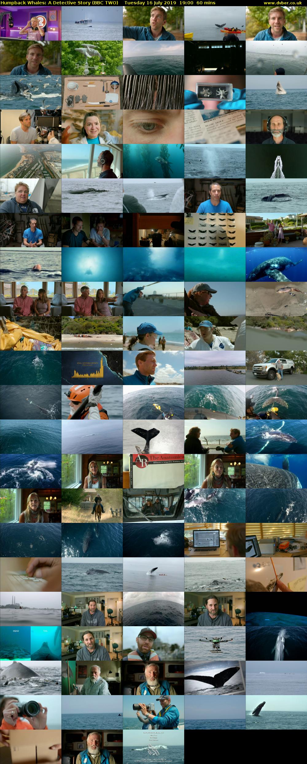 Humpback Whales: A Detective Story (BBC TWO) Tuesday 16 July 2019 19:00 - 20:00
