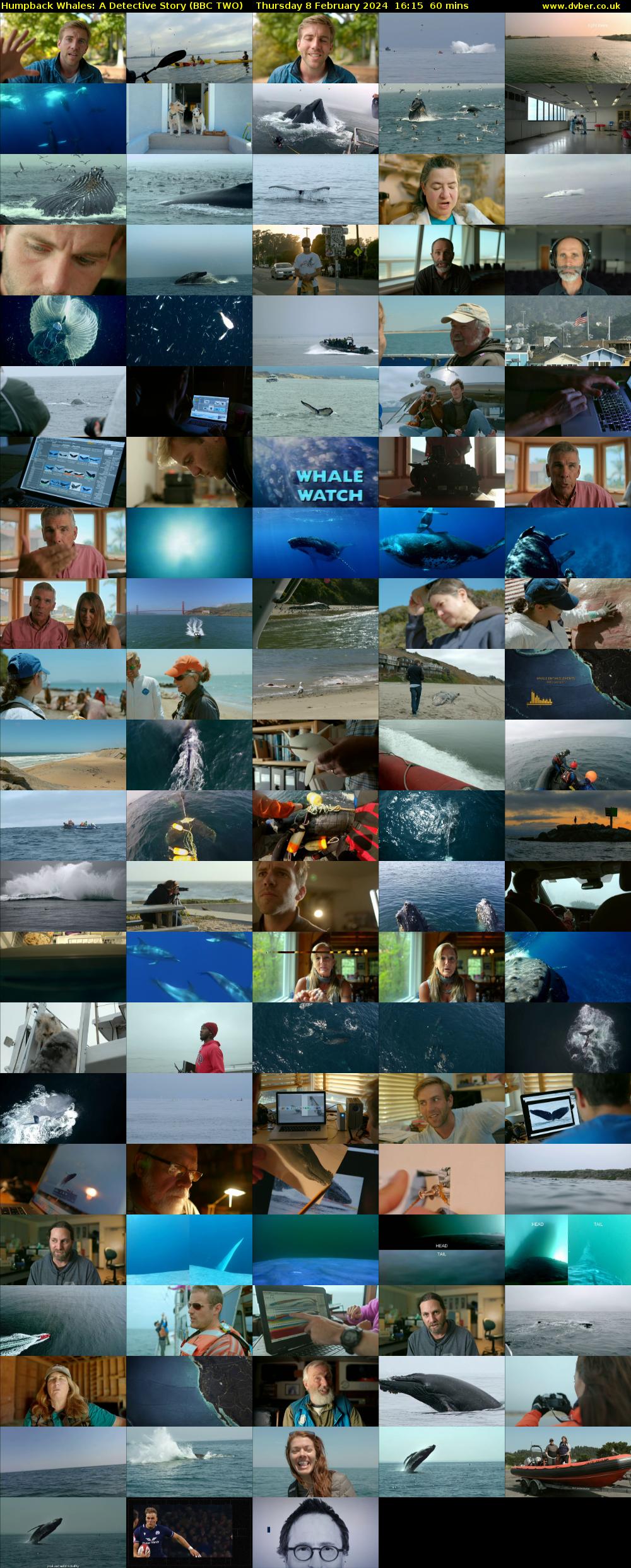 Humpback Whales: A Detective Story (BBC TWO) Thursday 8 February 2024 16:15 - 17:15