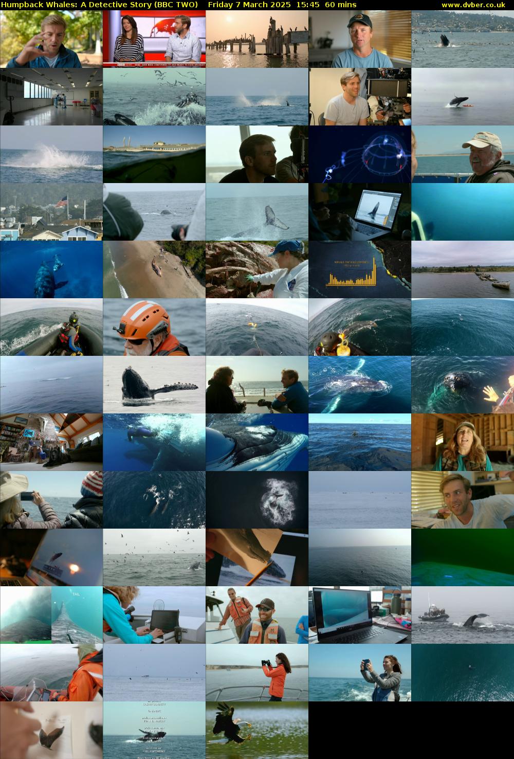 Humpback Whales: A Detective Story (BBC TWO) Friday 7 March 2025 15:45 - 16:45
